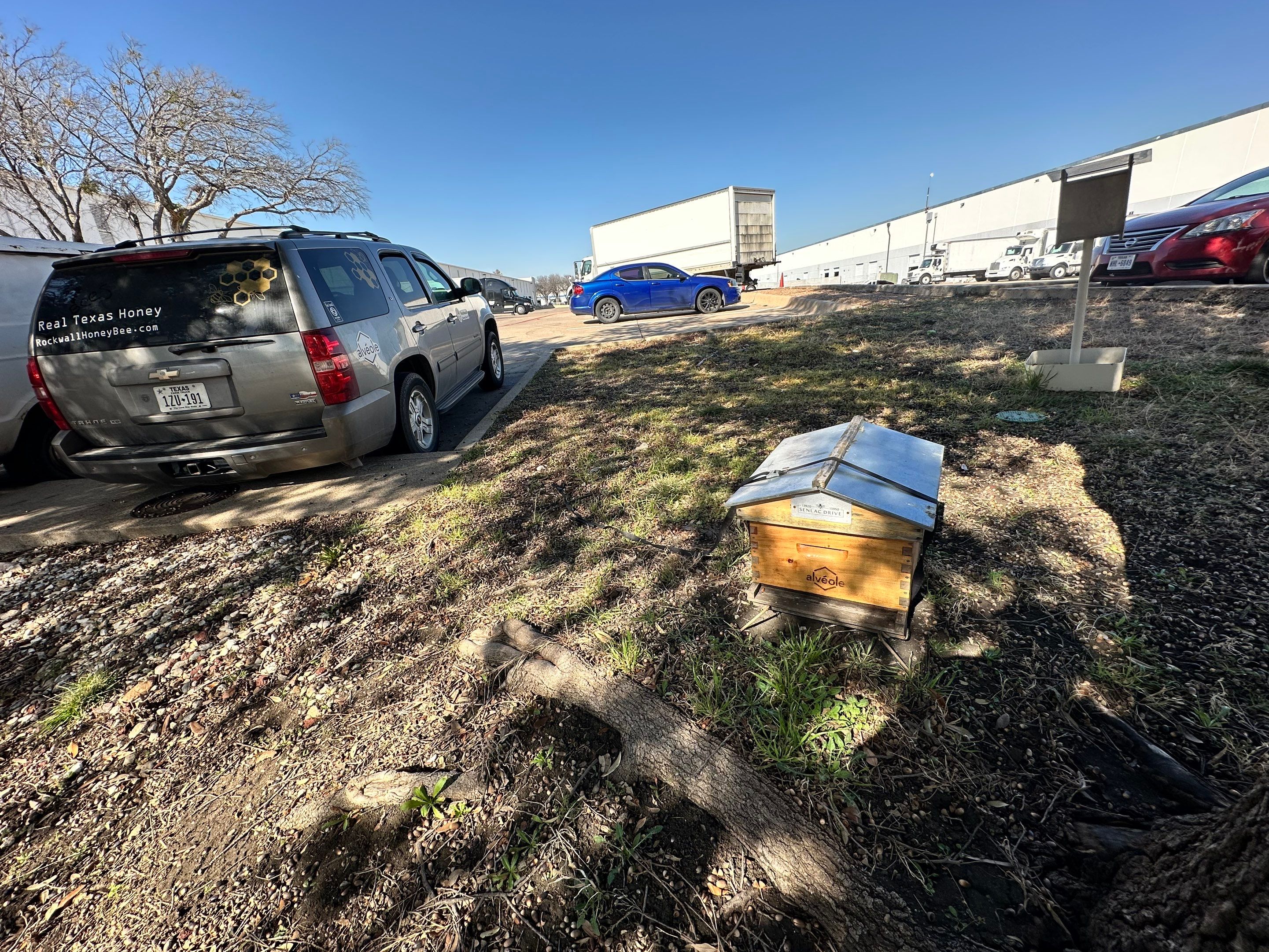 Industrial Bees by Rockwall Honey Bee Company