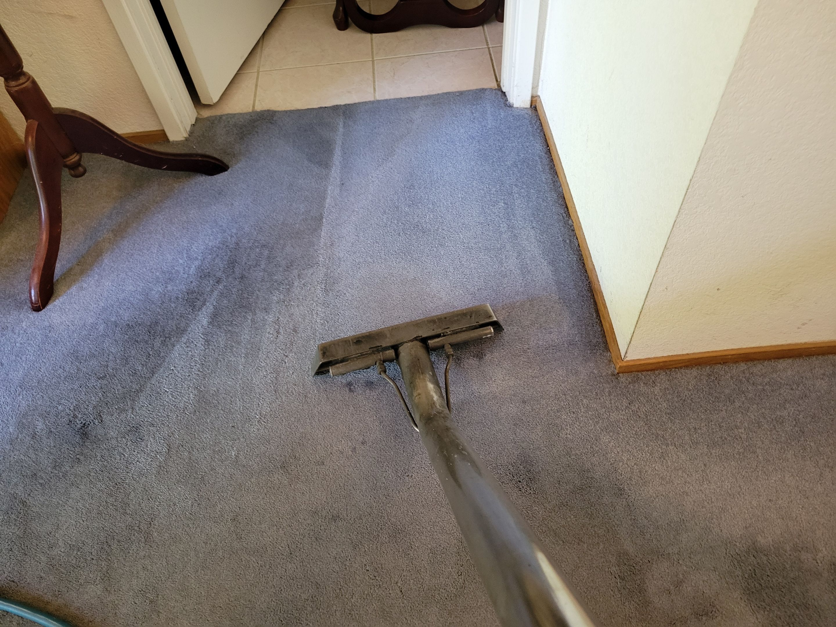Condo Carpet Cleaning by Ardent Carpet Restore LLC