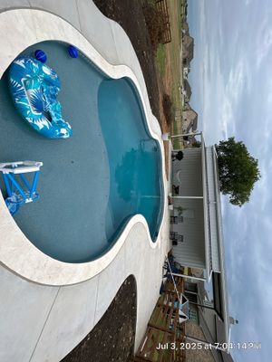 Freeform Pool with Tanning Ledge