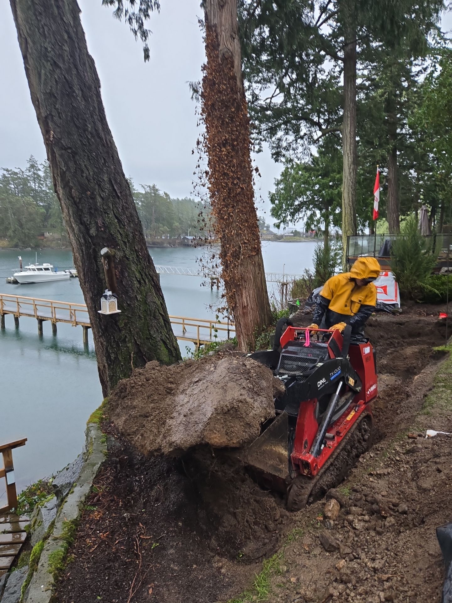 Coastal Landscape Restoration & Retaining Structure - In progress by Habanero Garden and Exterior Care