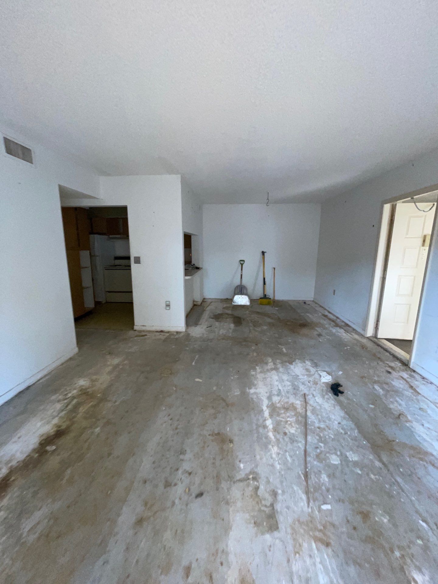 Horder house with Mold and Bacterial Contamination Issues  by Bay Coast Restoration 