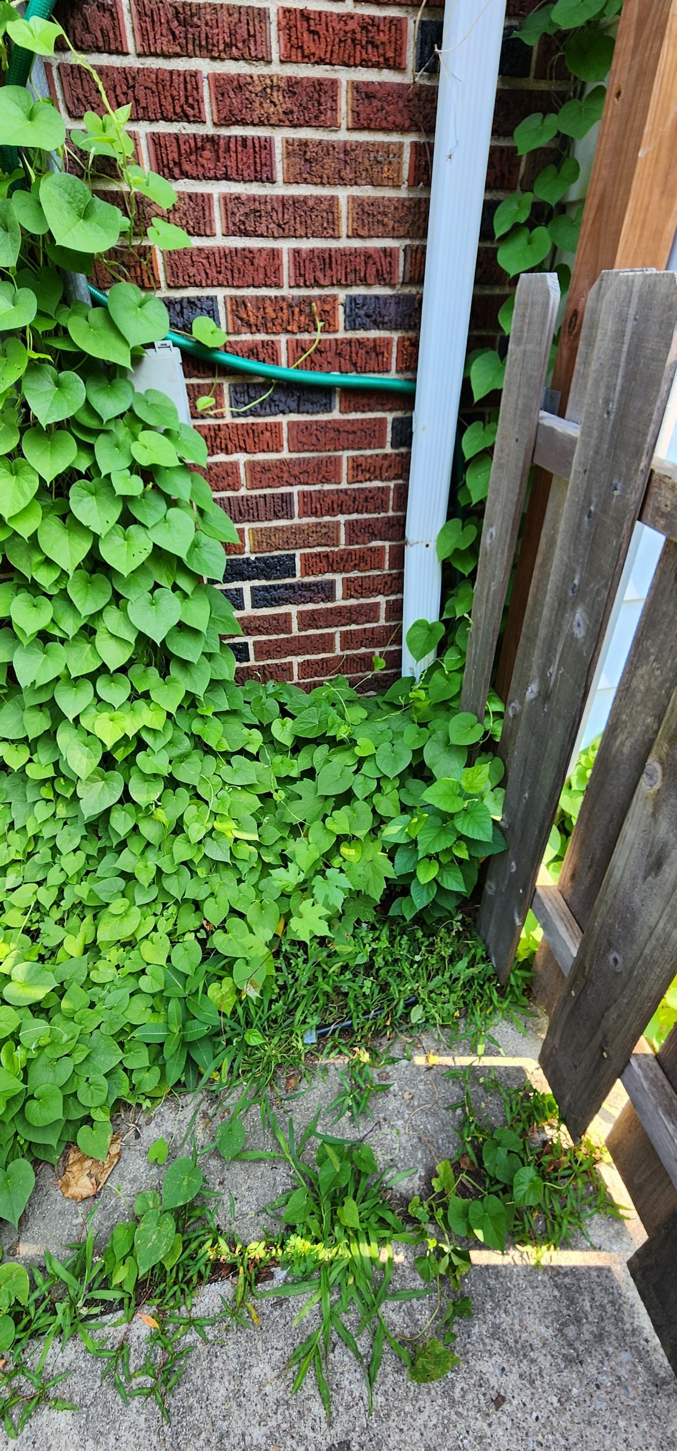 Interior Waterproofing by Toledo Basement Repair 