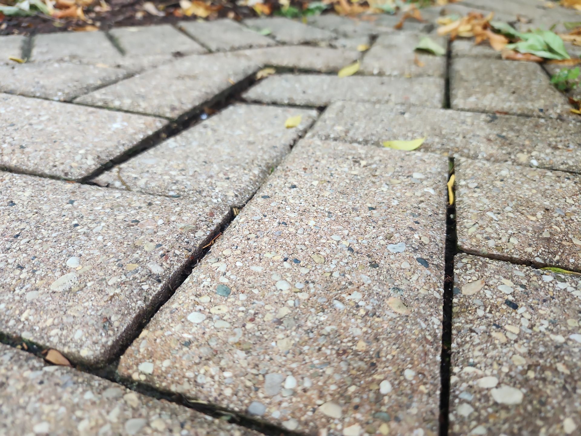 Arlington Heights Brick paver repair, cleaning and sealing by Northern Power Washing LLC.