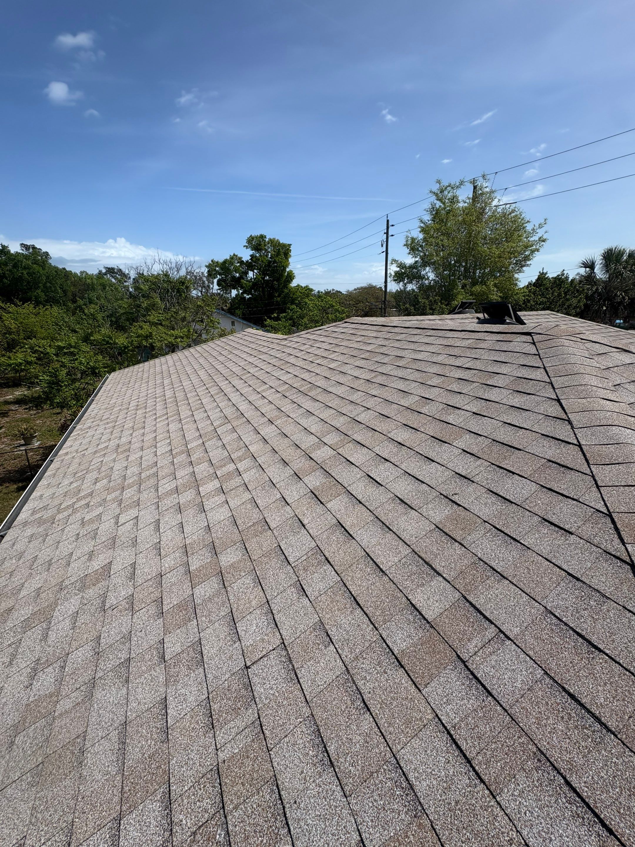 Shingle Reroof Replacement Daytona Beach FL by Pinnacle Roofing Group