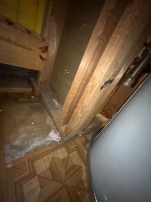 Project in Westminster