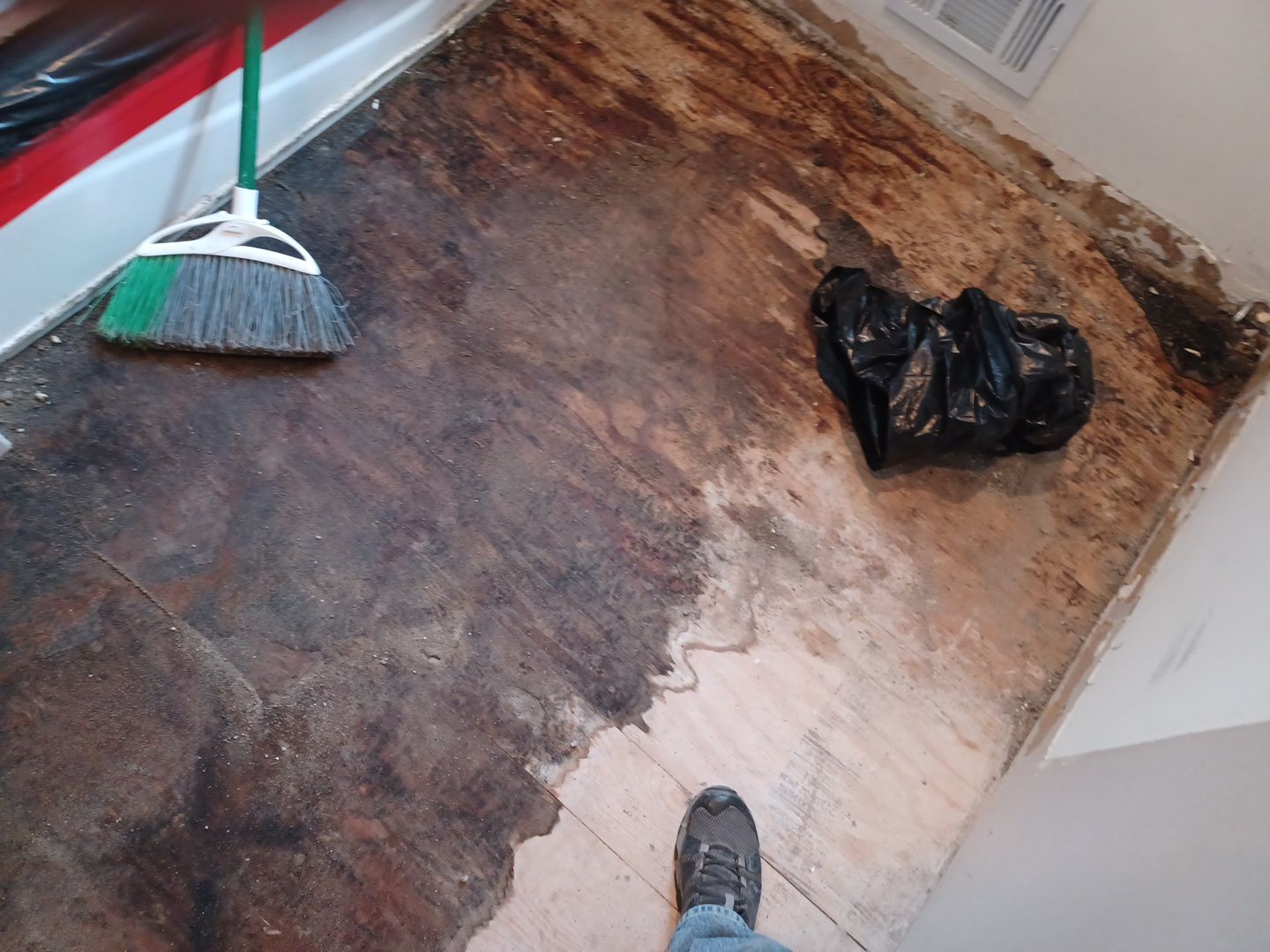 Project in Livonia by EzDry Water Mitigation & Property Restoration