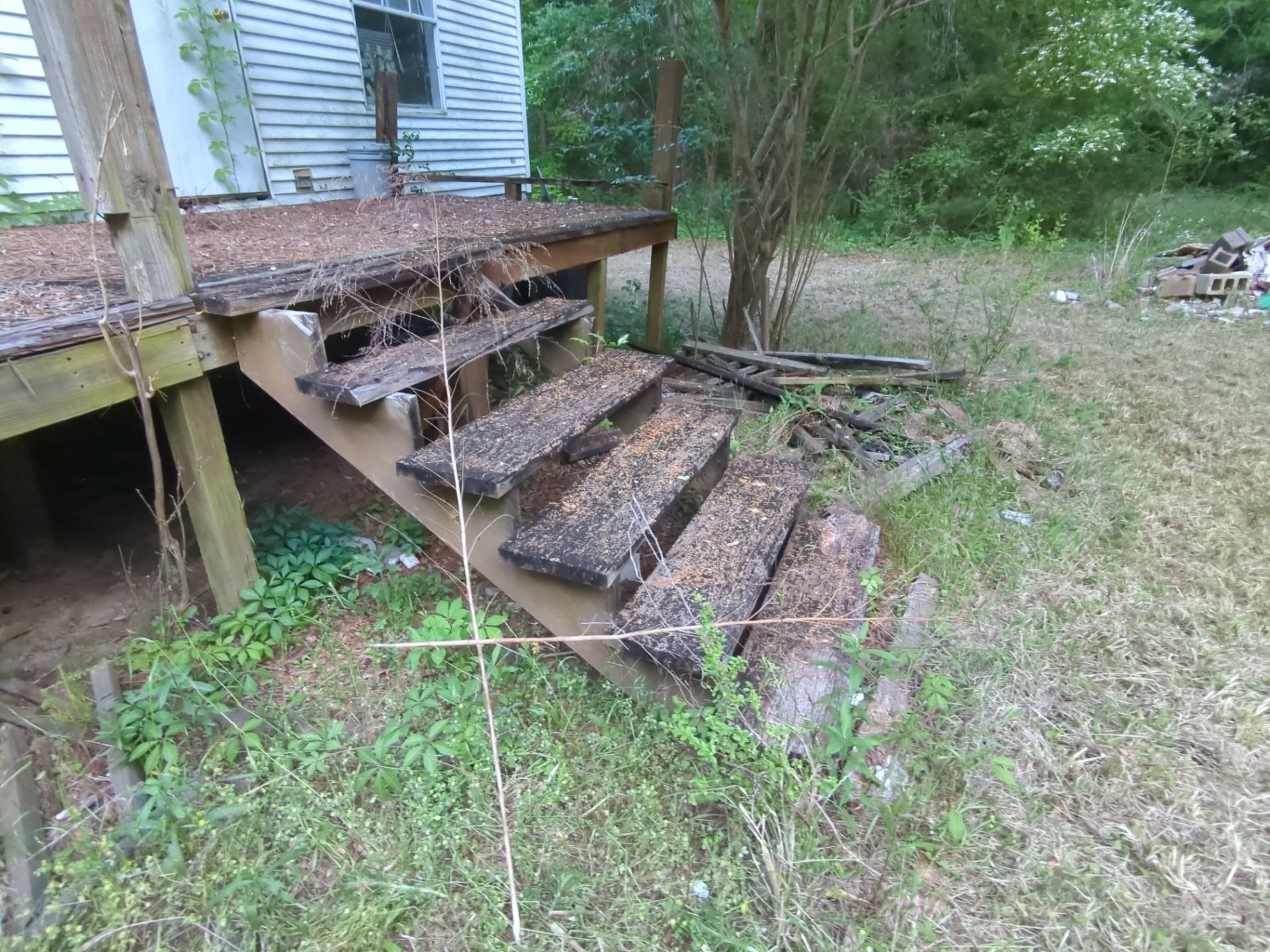 Exterior Clearing - tree trimming - grass cut by Swift Signings and Services LLC
