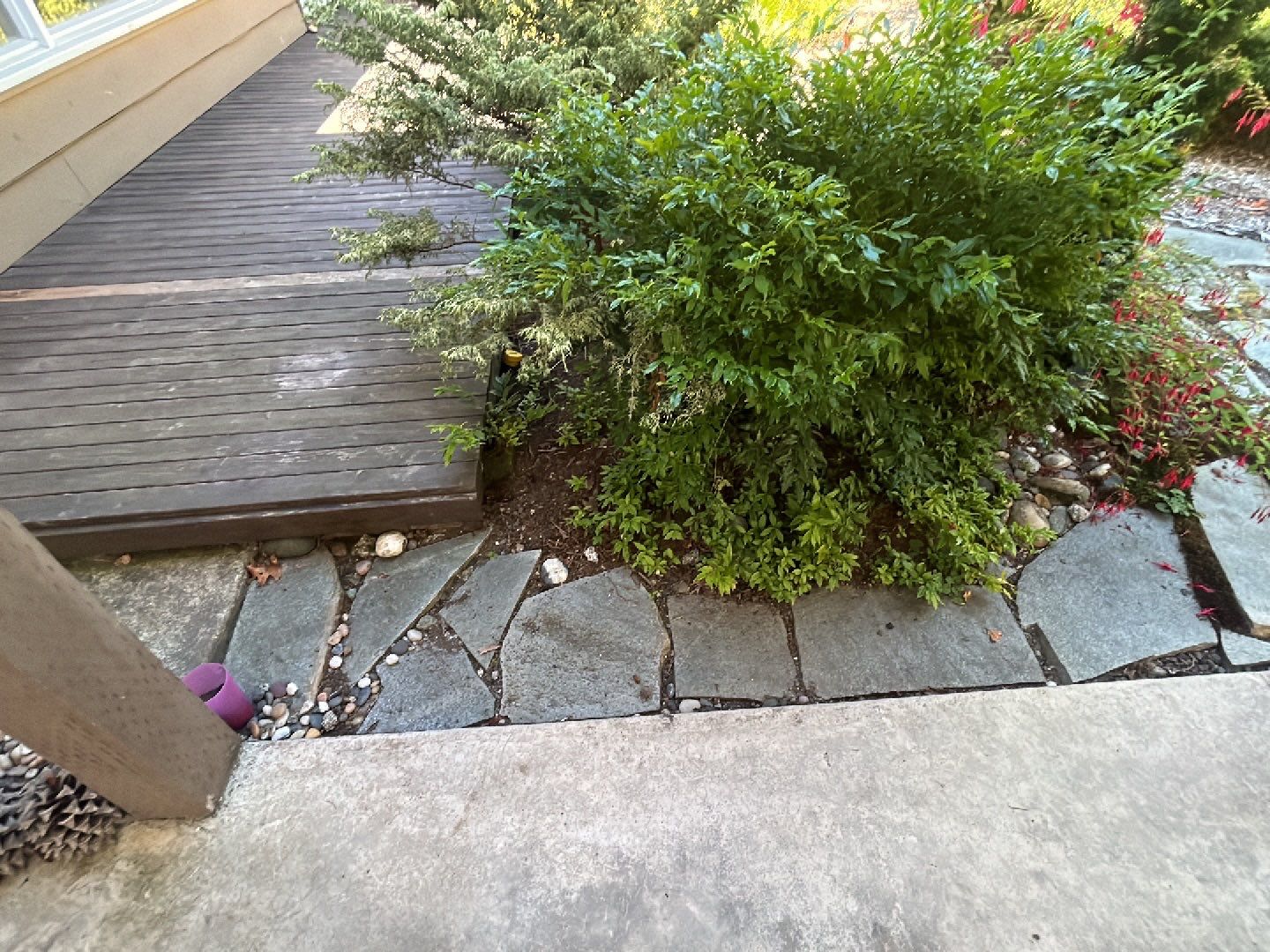 Edie | Concrete Driveway and Walkway  by Jireh Asphalt & Concrete Inc 
