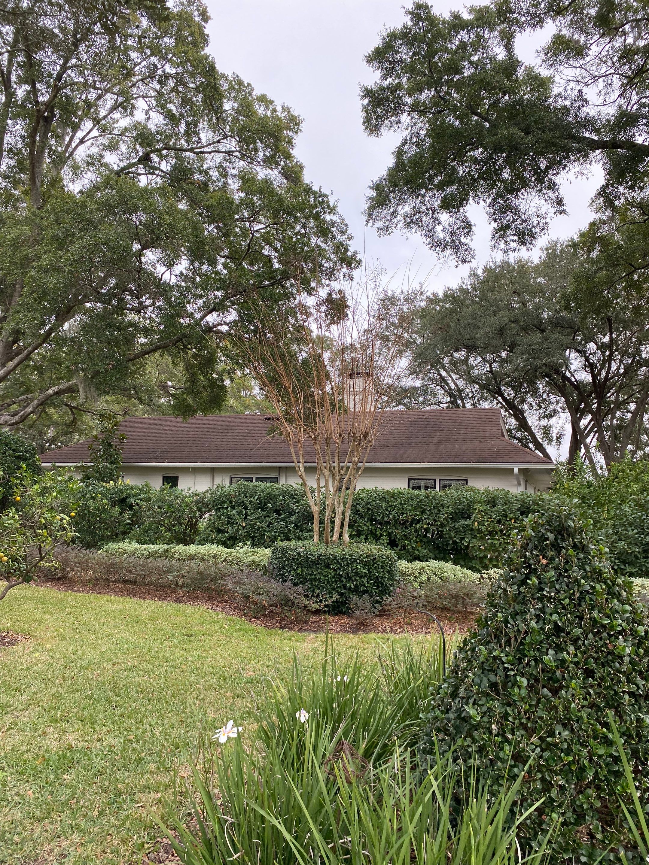 Deerwood Residence | Tree Trimming by ProGreen Services