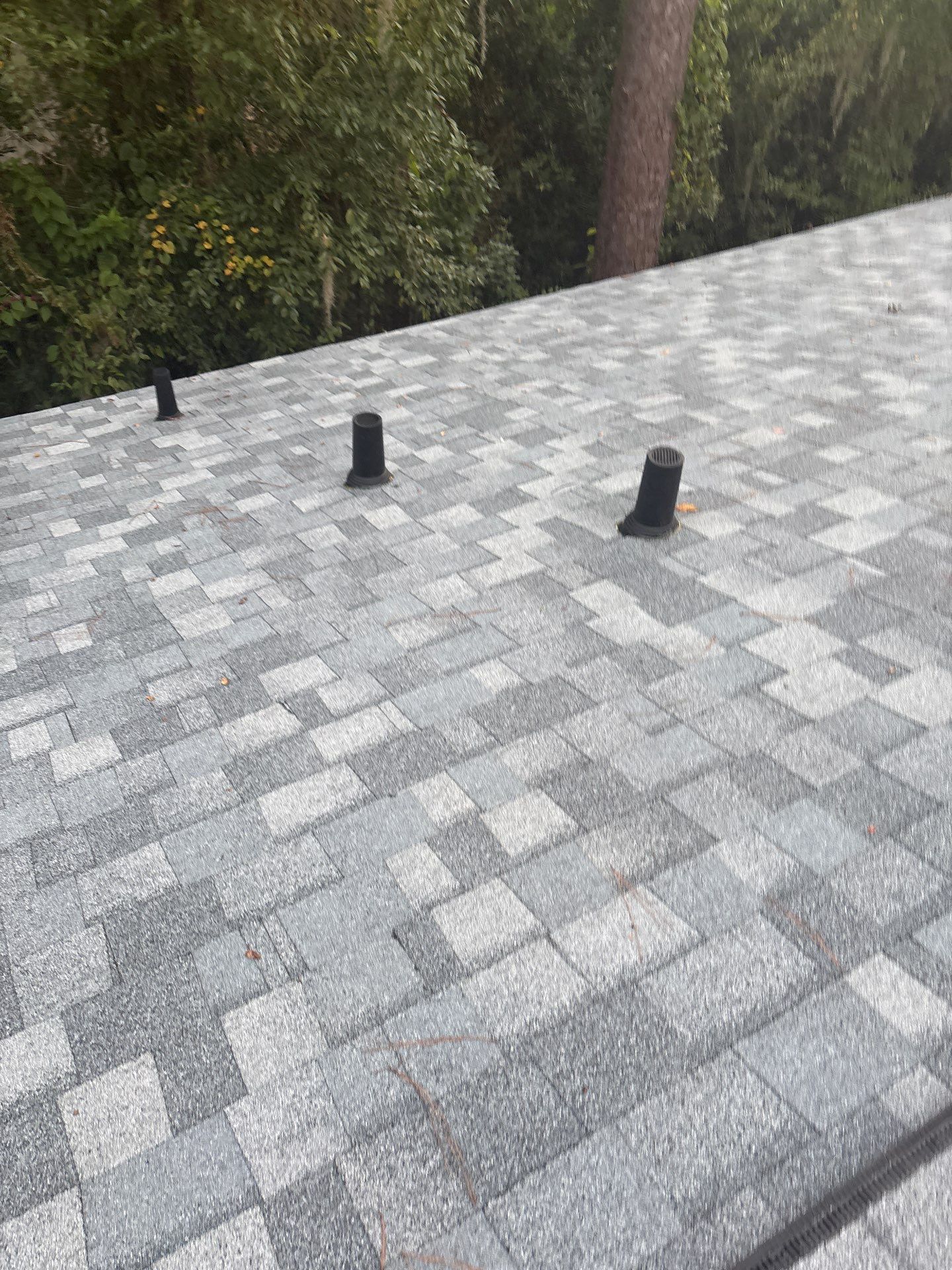 New Reroof in Monterey, Gainesville, FL by Brehm Roofing