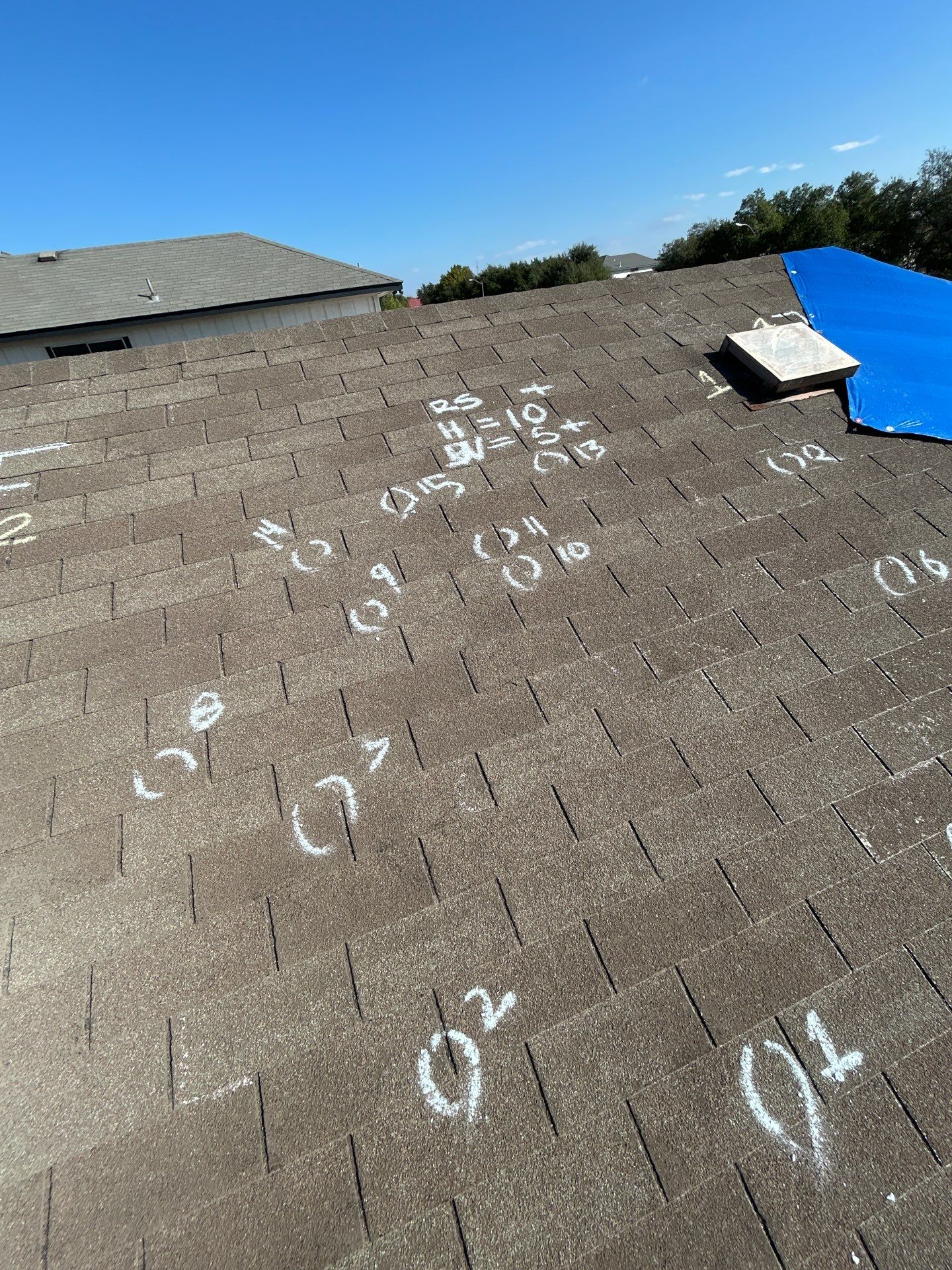 Miss Bridgette by REPS Austin Area Roofer