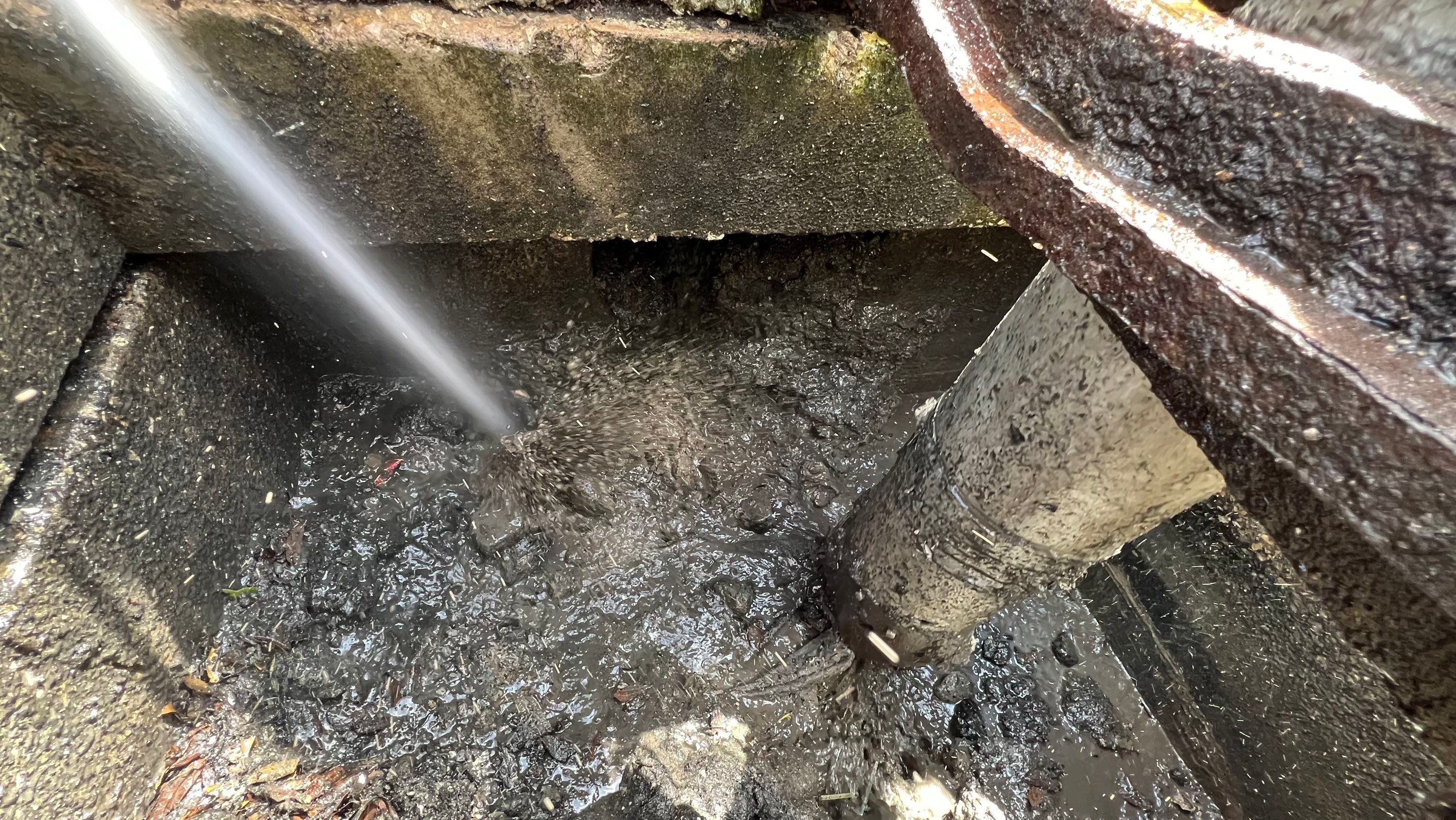 Estero Community Stormwater System Maintenance by APS Power & Water