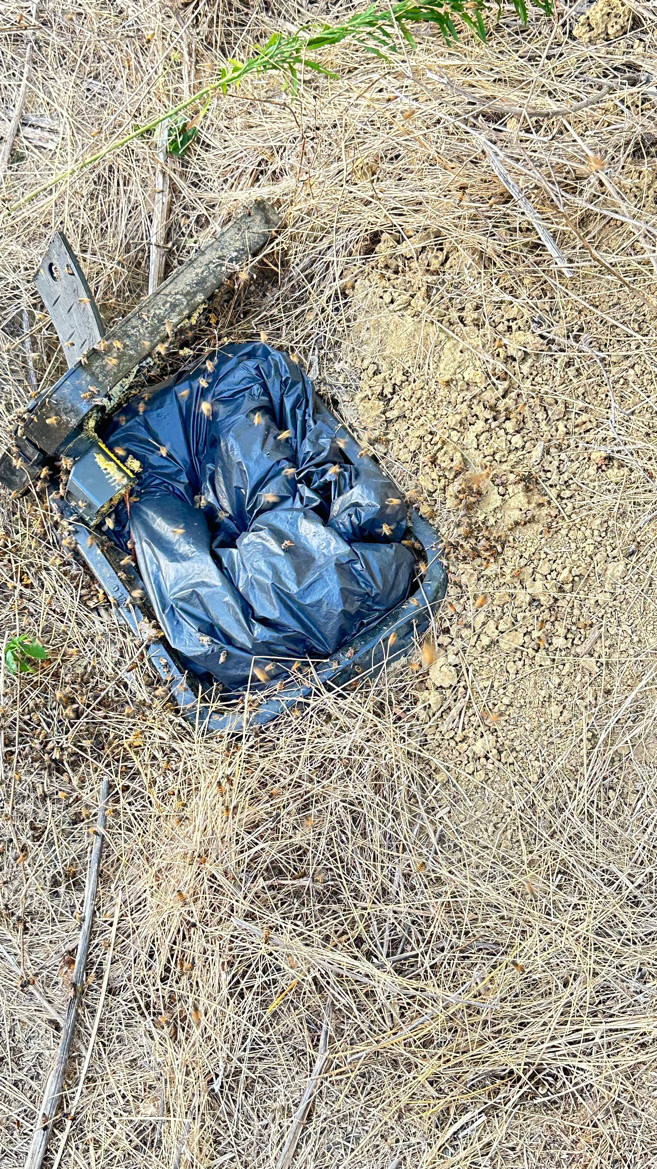 Well Meter by Rockwall Honey Bee Company