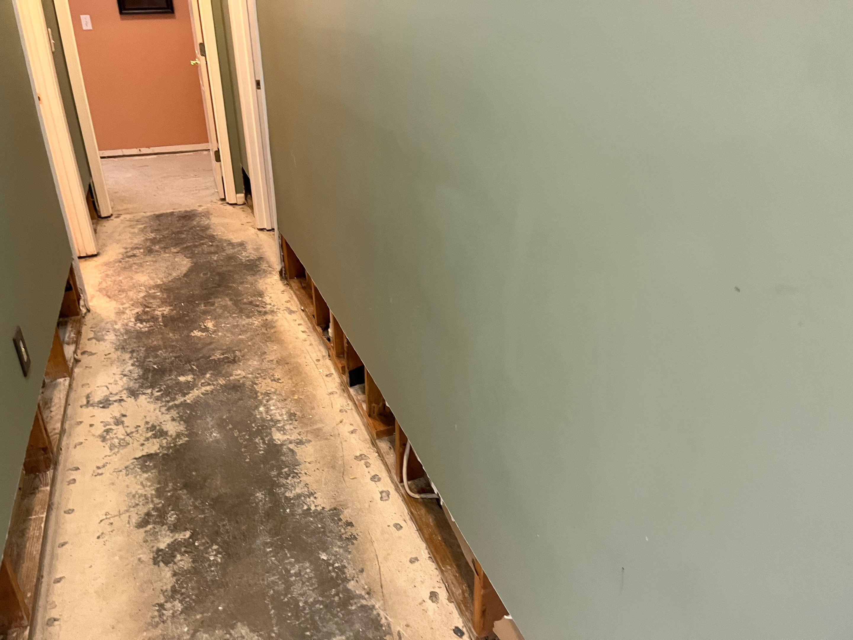 Mitigation and Repairs Project by ANR Restoration