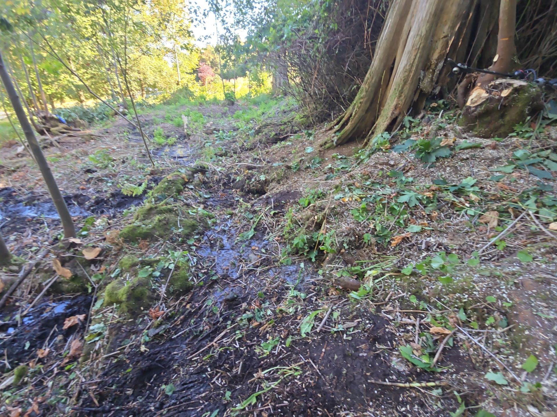 Island View - Ecological Restoration & Stewardship by Habanero Landscape Solutions
