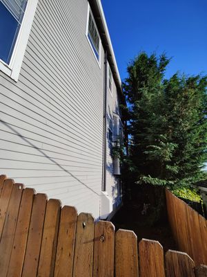 Project in Portland