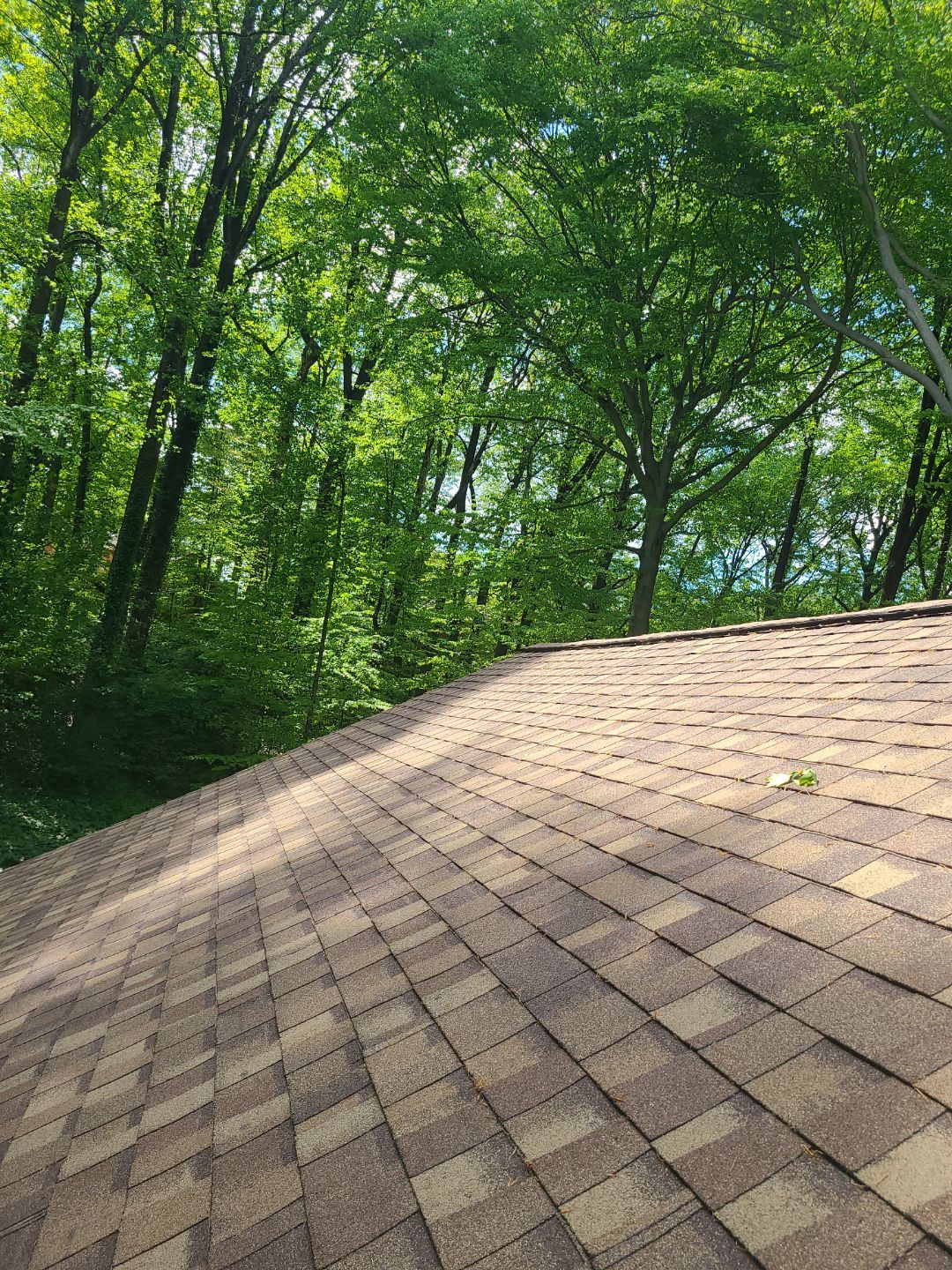 Annandale: Multi-Trade Tree Damage Restoration by RM Banning, Inc.