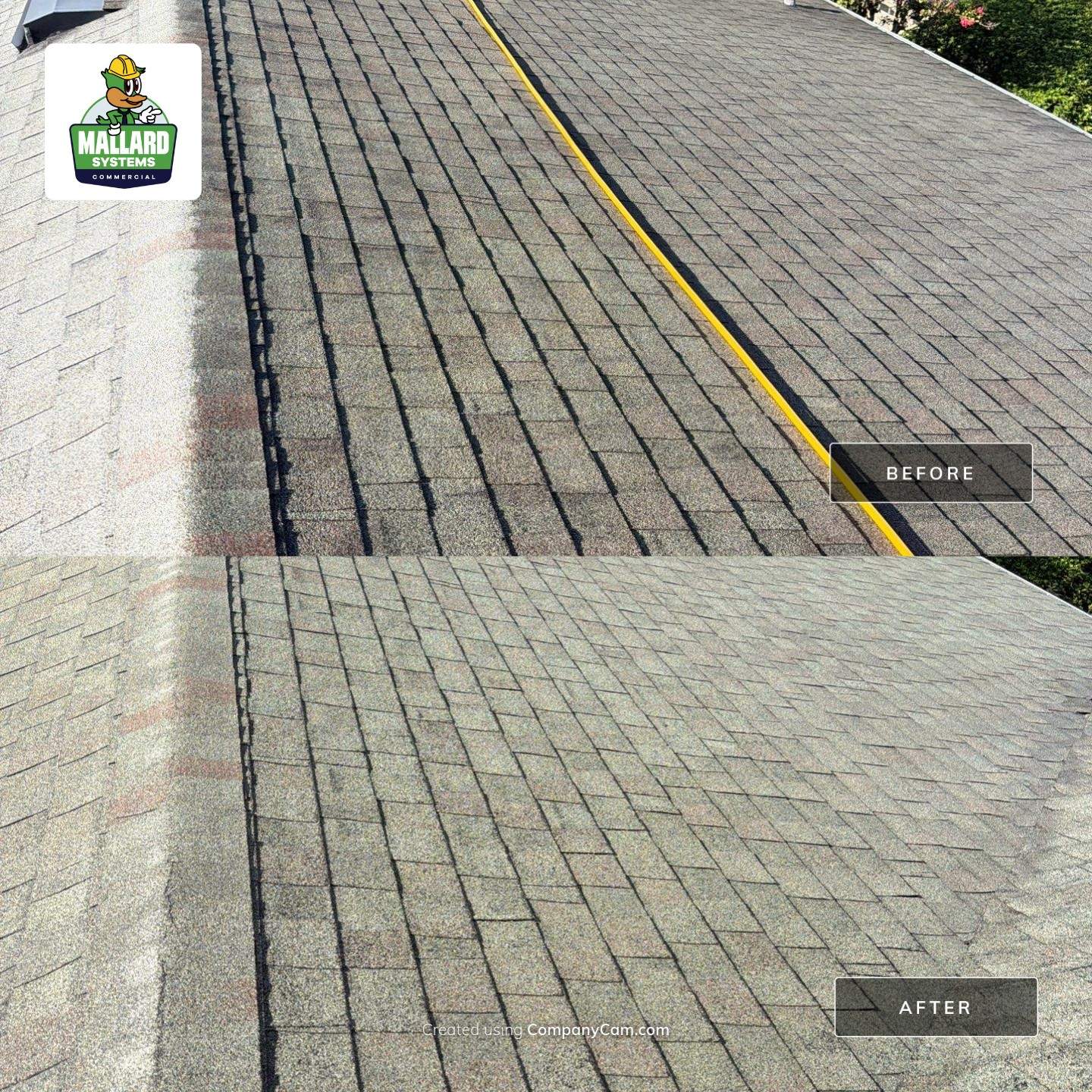 Residential Shingle Roof Cleaning in Orlando by Mallard Systems