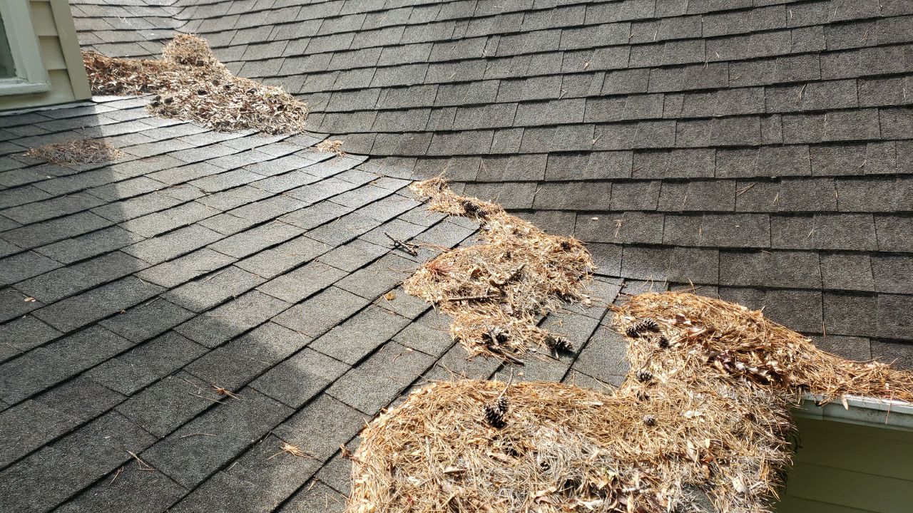 House Wash using cleaner by Power Wash Masters LLC