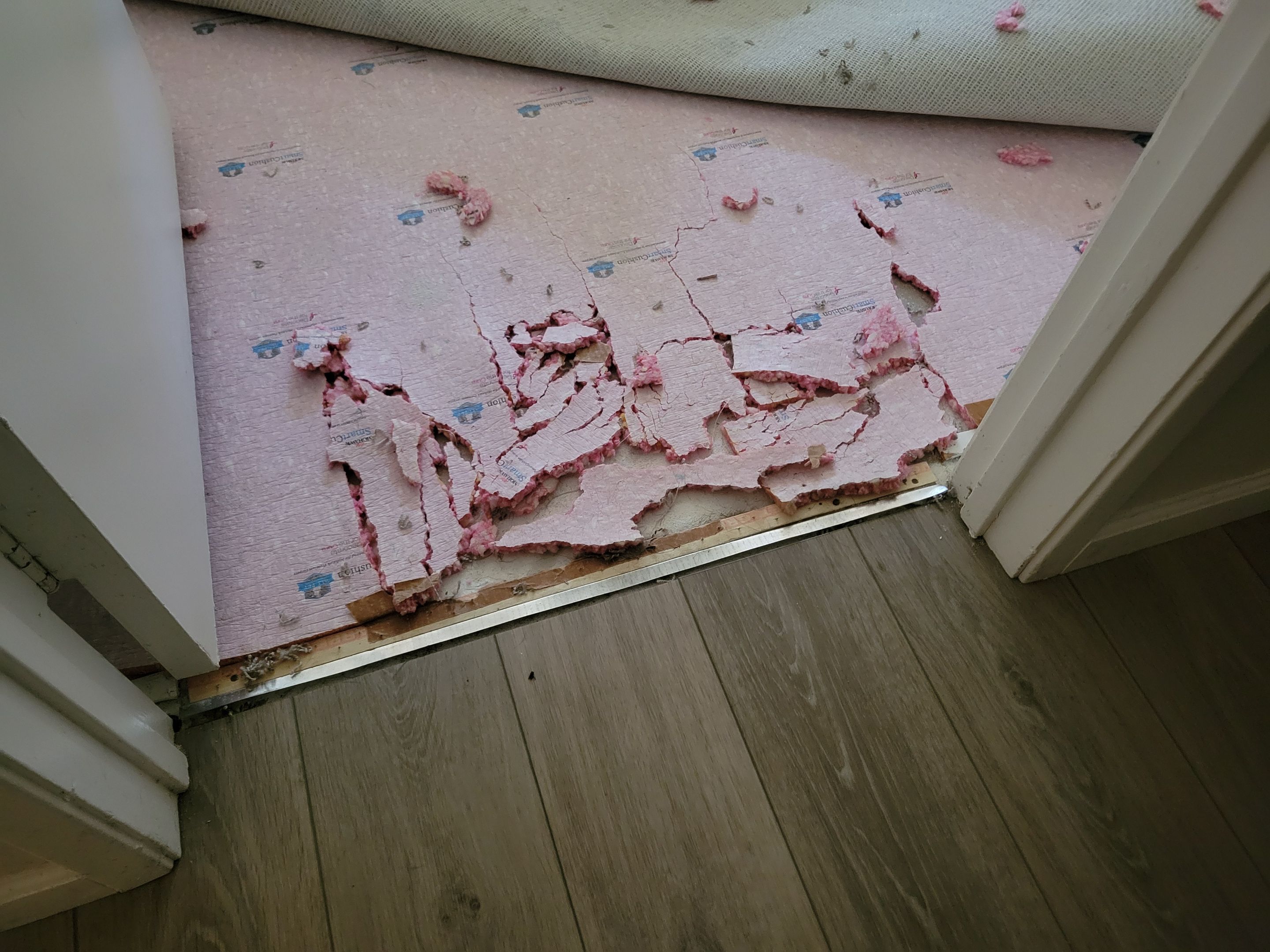Repairing Carpet Damaged by a Dog by Ardent Carpet Restore LLC