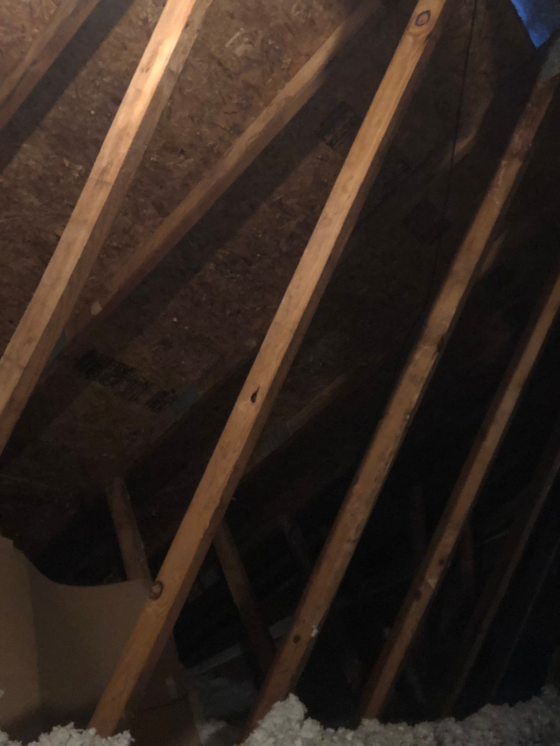 Vienna: CertainTeed Landmark Pro Designer Shingles in Max Def Moire Black by RM Banning, Inc.