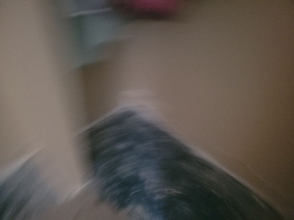 Mold Damage by Accountable Home Services