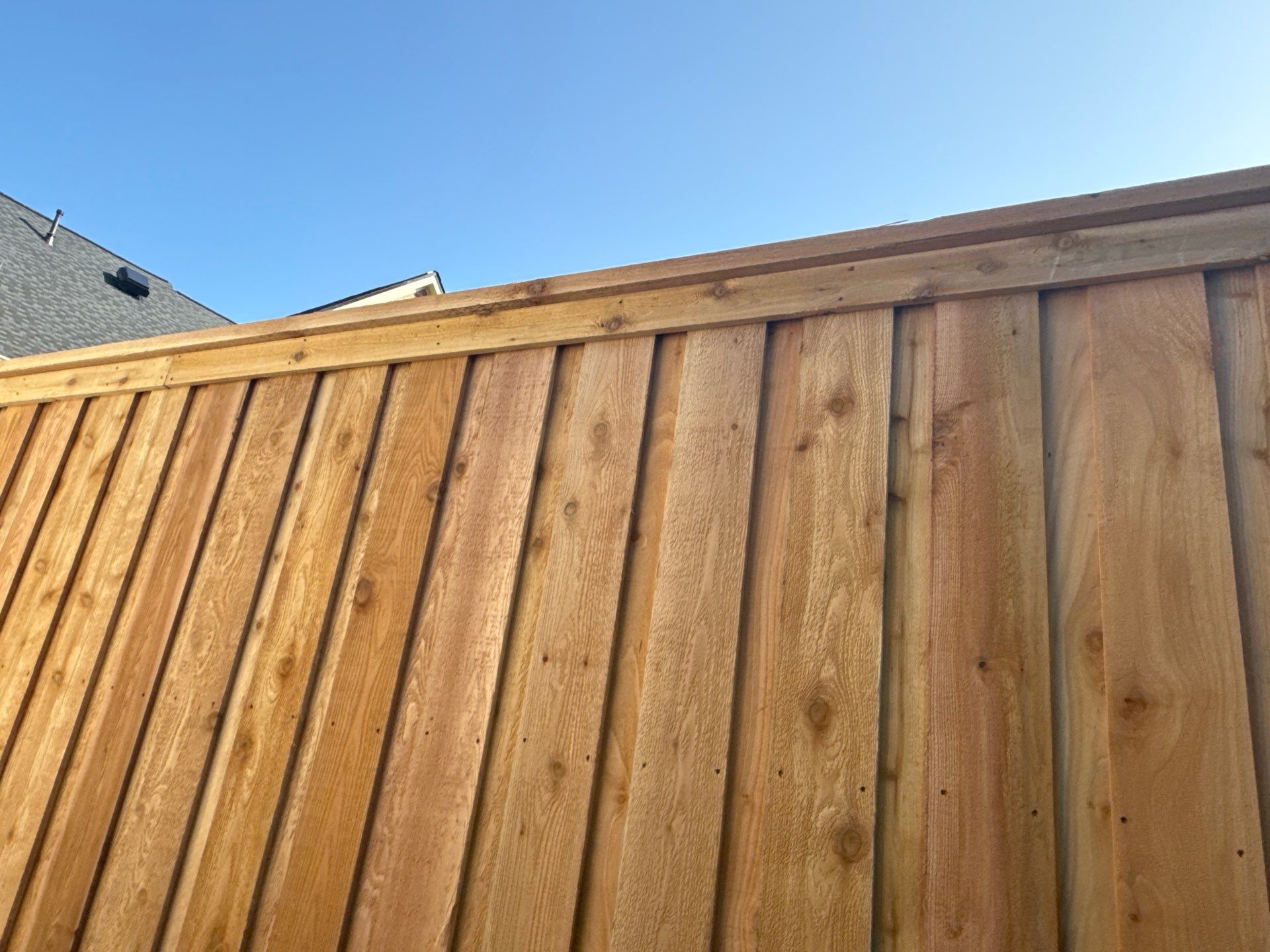Board-on-Board Meets Classic Privacy by Tim's Fences