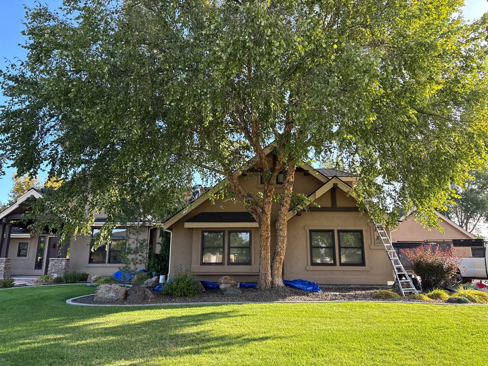 Middleton Residential Roof Replacement with Dark Grey Architectural Shingles by Olive Roofing