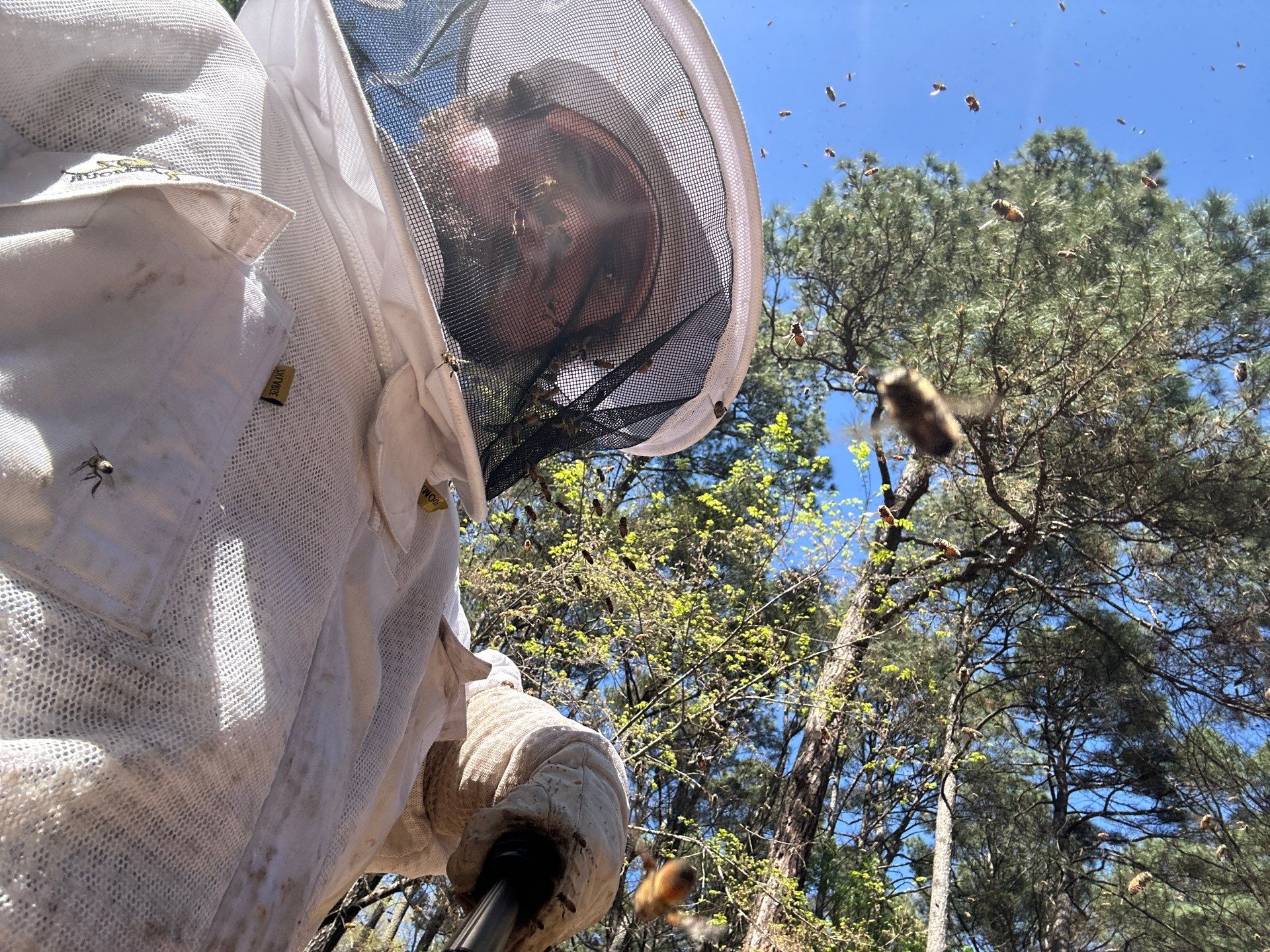 Tree Farm Apiary by Rockwall Honey Bee Company