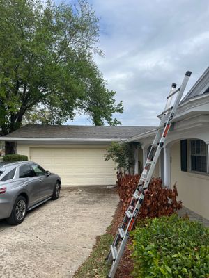 Project in Maitland