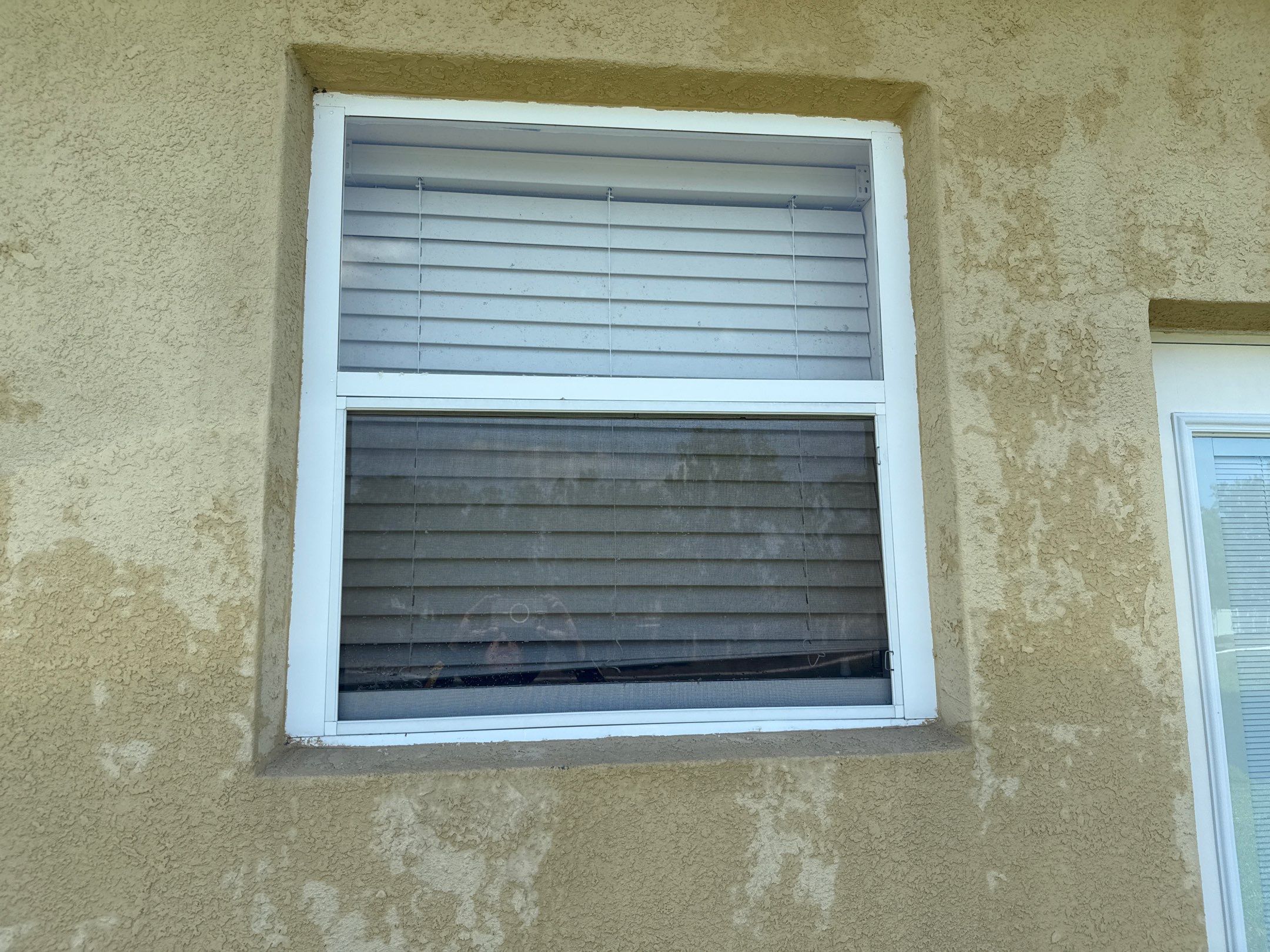 Driveway & Rear Wall Soft Wash | Lexington Community | Parrish, FL | Sunshine AquaWash by Sunshine AquaWash