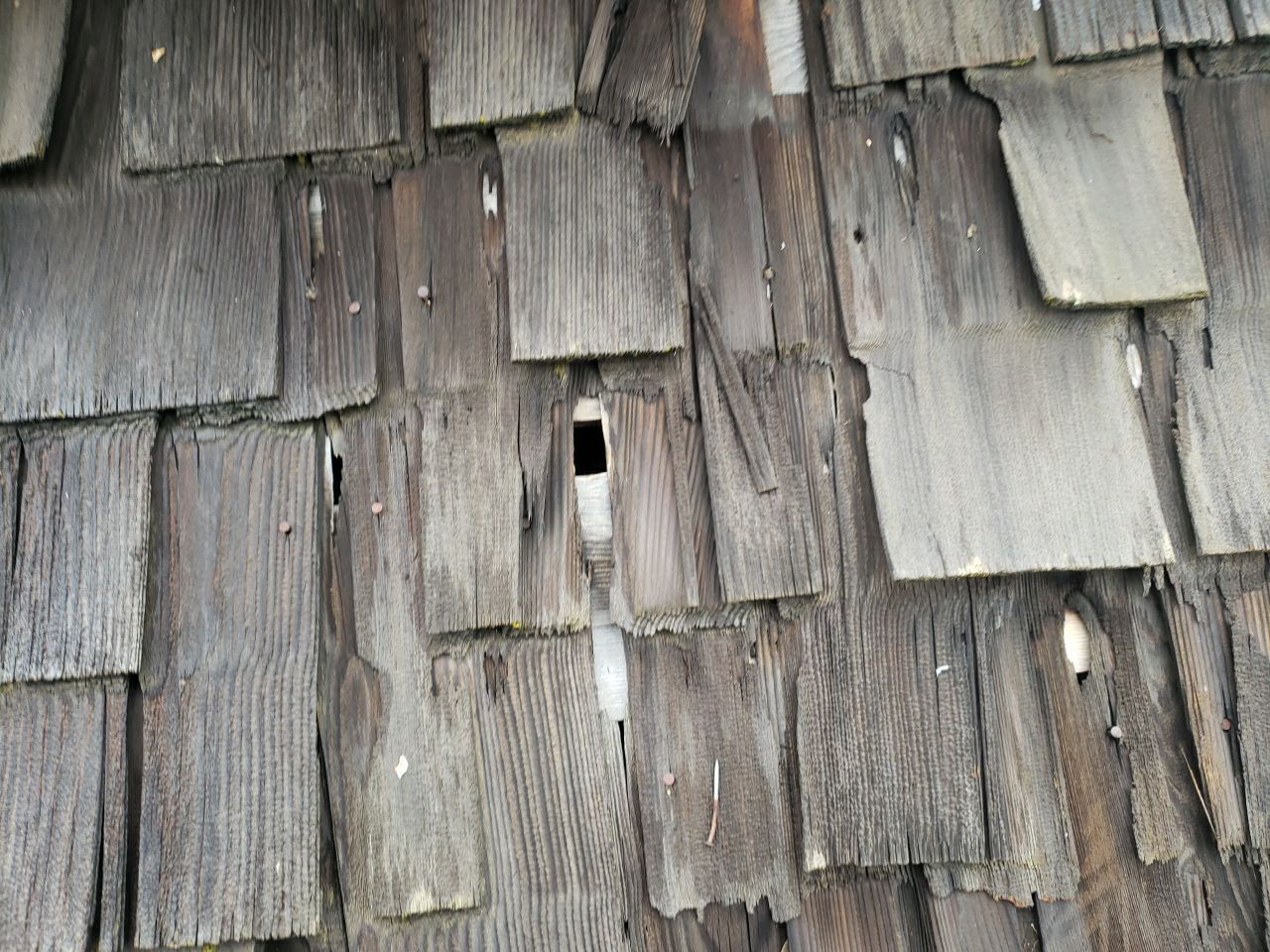 Residential Roofing Installation using GAF Timberline HDZ - Lifetime Shingle by The Roof Doctor