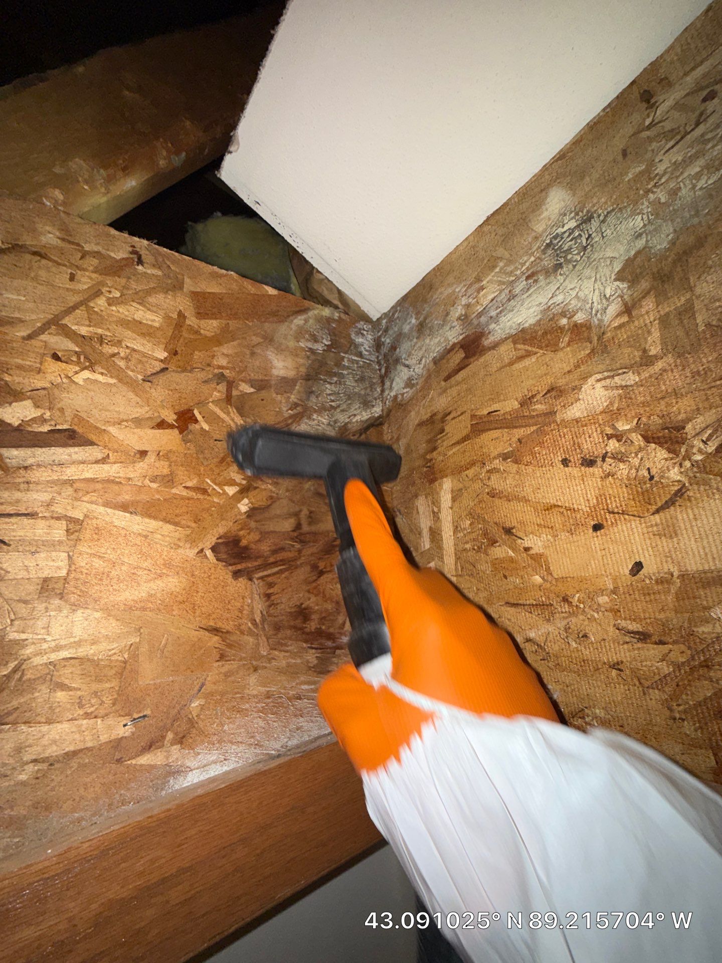 Mold Remediation by Dry Source Property Restoration
