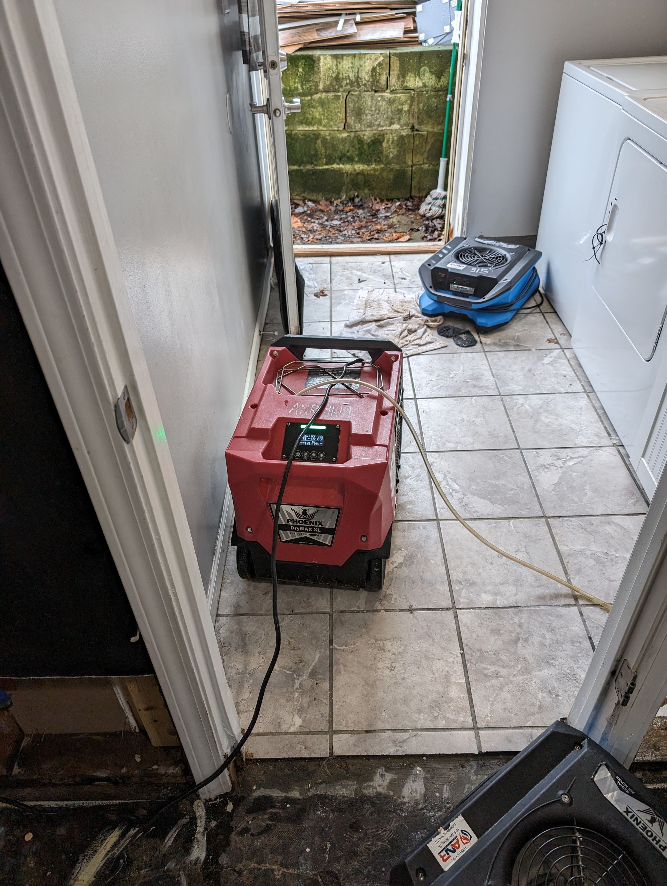Mold Remediation in New Albany, IN by ANR Restoration