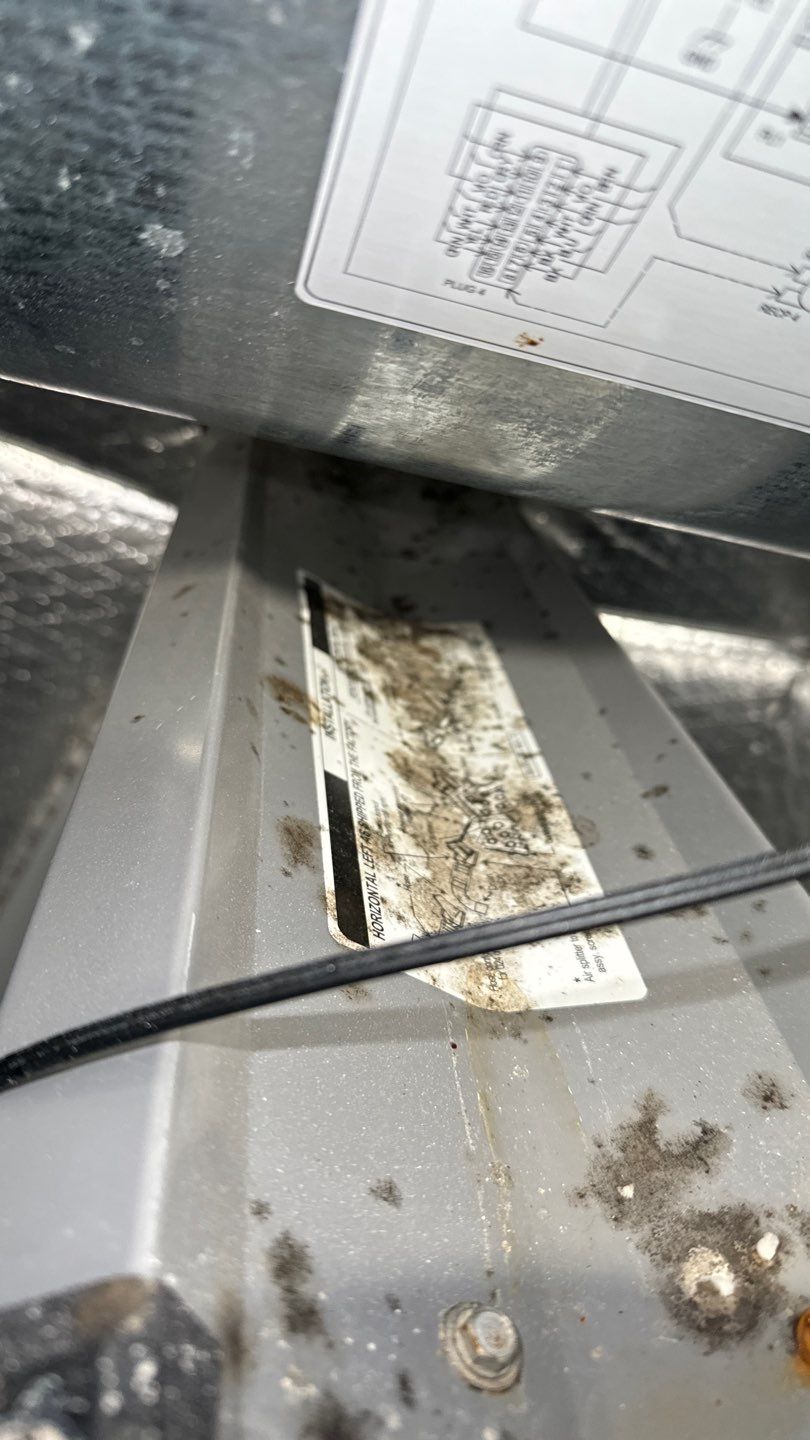 Commercial Air Duct Cleaning in Clermont by Hygienic Air, Inc