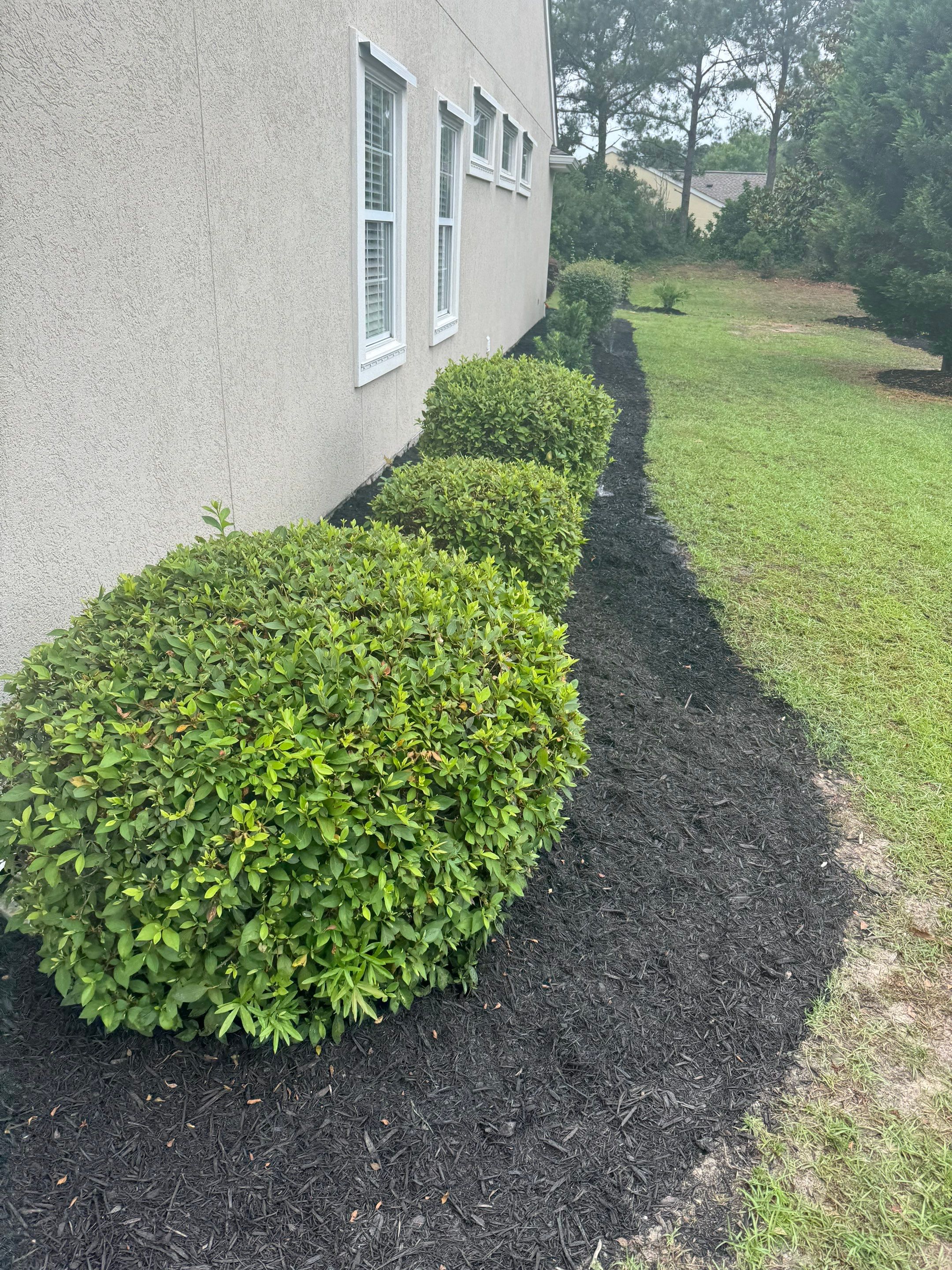 Residential Landscape Refresh and Full Mulch Installation by Lowcountry Scapes, LLC