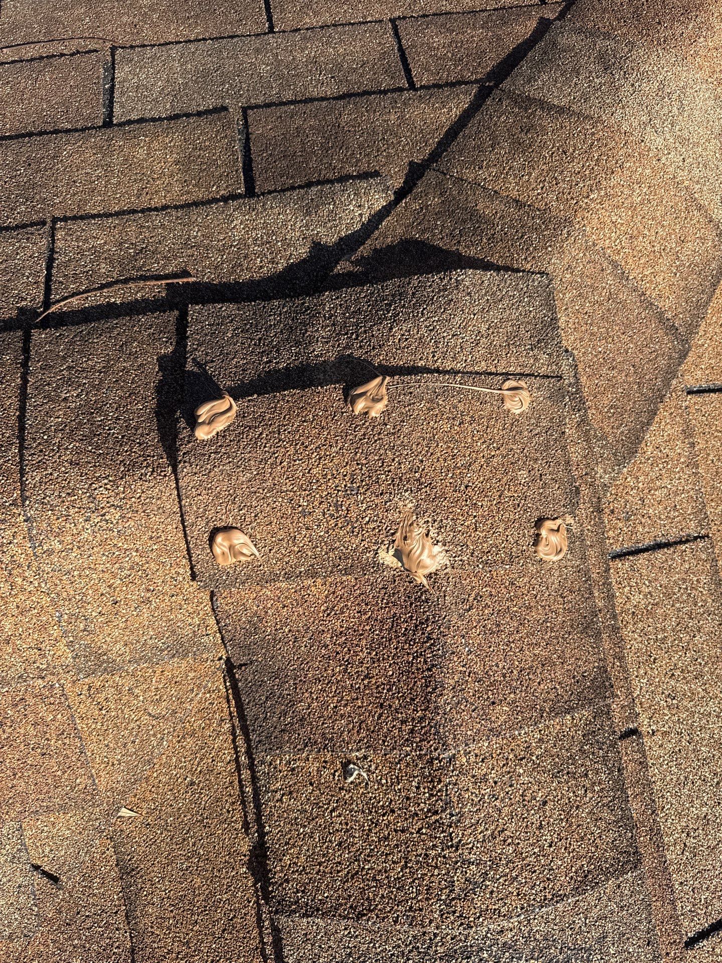 BARB C. by Boss Hogg Roofing