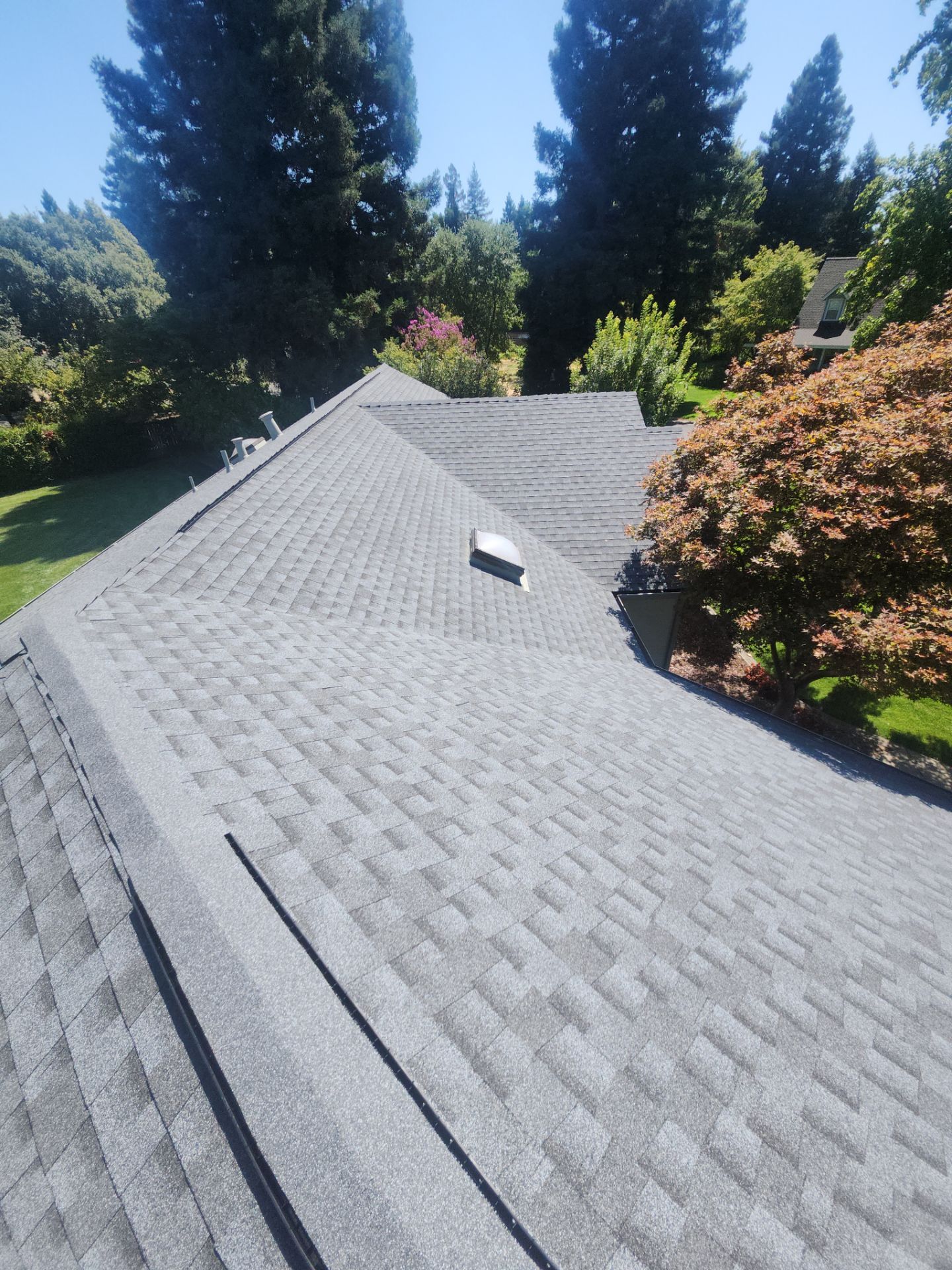 Chico Shingle by Butte Roofing Company License #567600