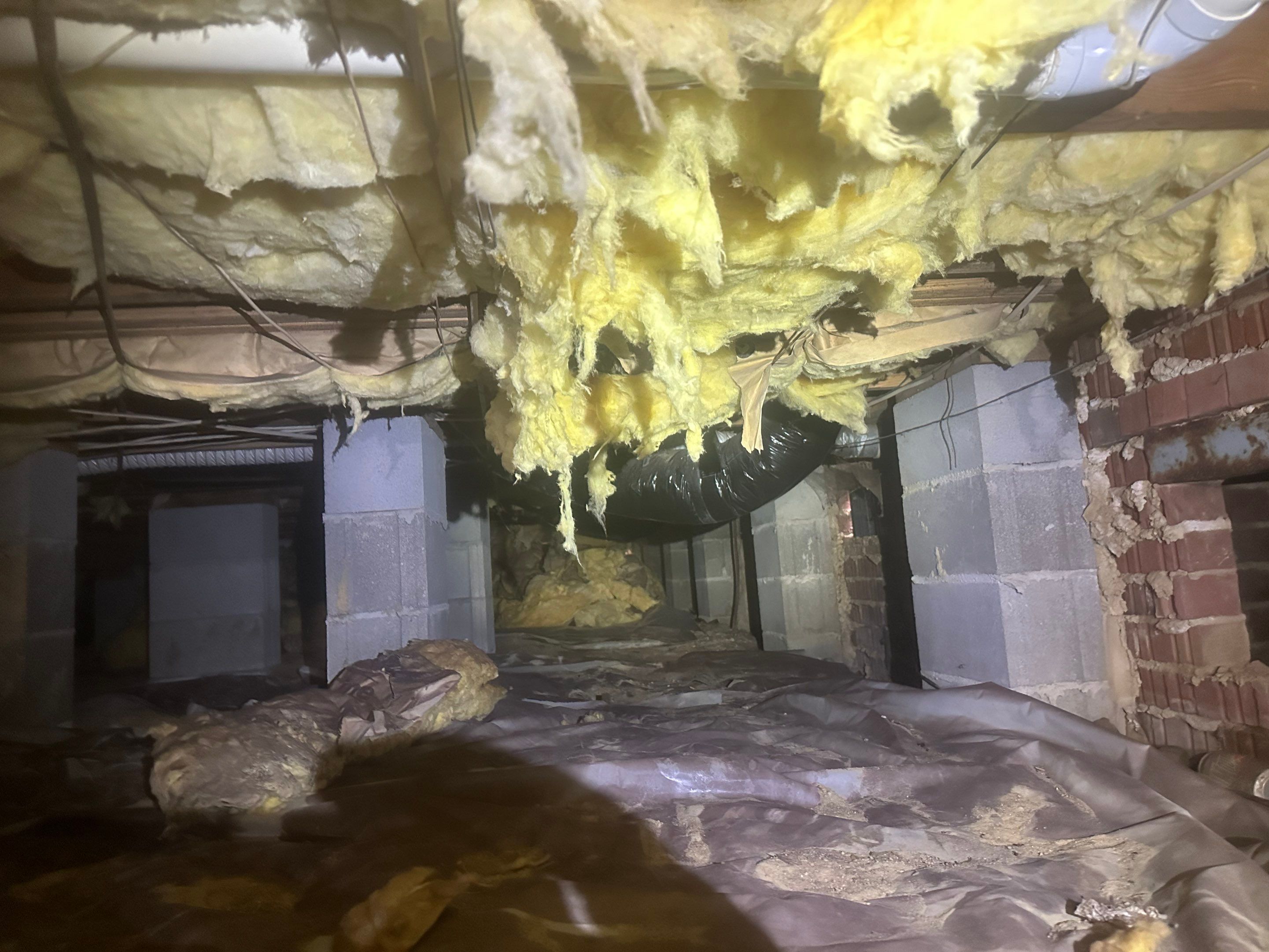 Structural Repairs and Premium Encapsulation by Impact Crawlspace
