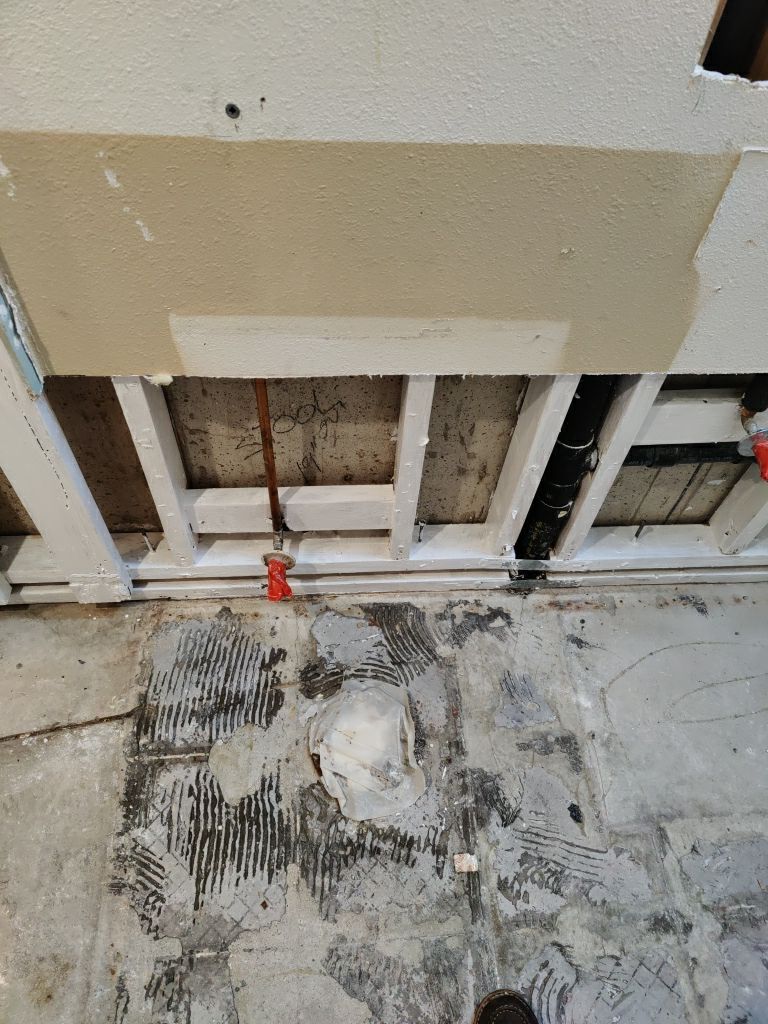 Mold Remediation by Accountable Home Services