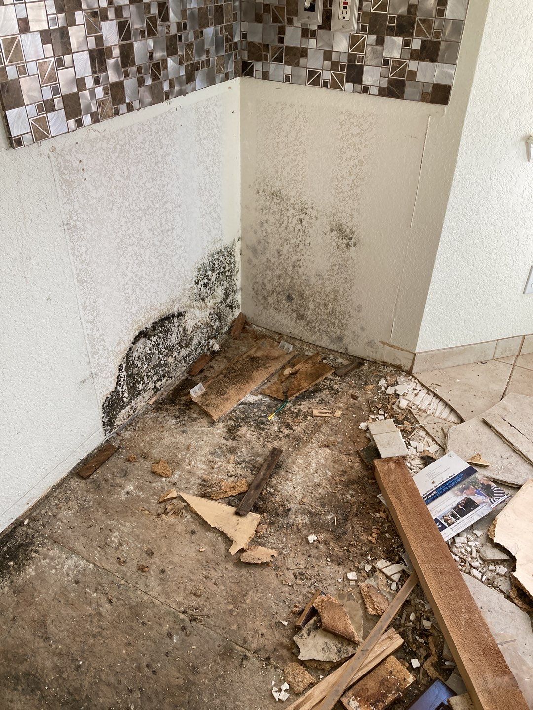 Mold Remediation in Kitchen by Accountable Home Services
