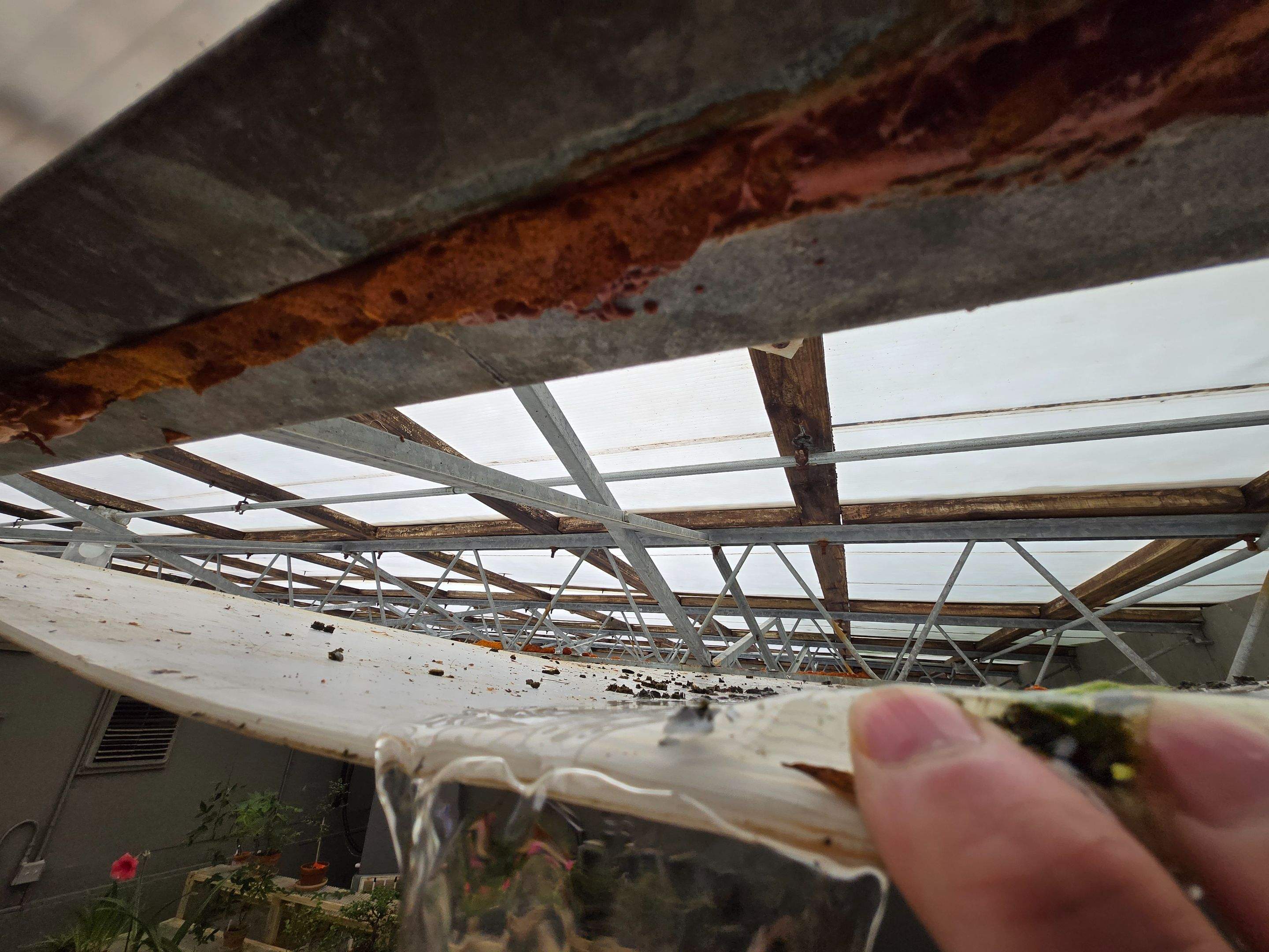 Greenhouse Roof Replacement and Structural Framing Repair in Centerville by Level Up Roofing and Restoration Services LLC