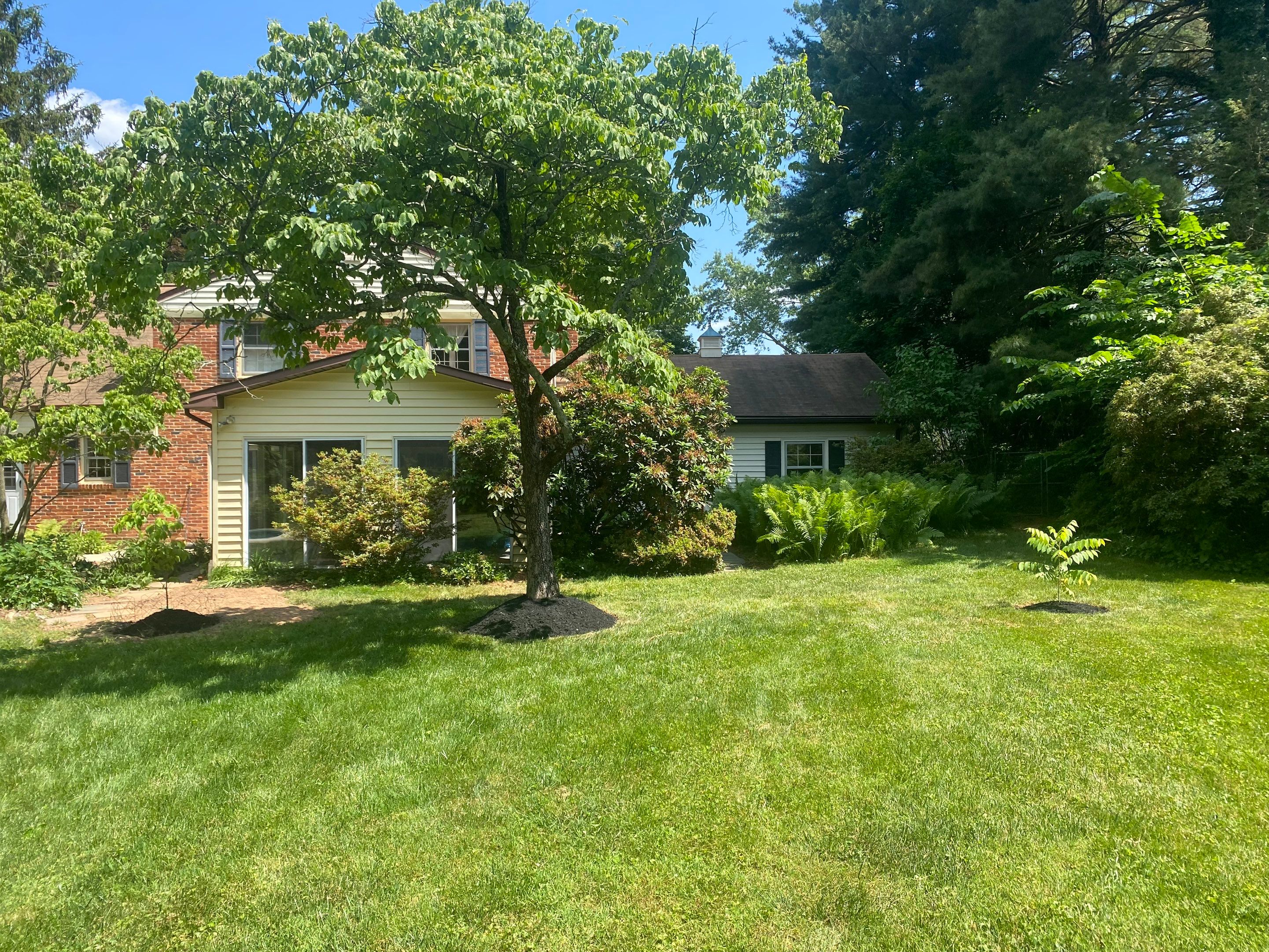 Landscape cleanup & drainage by The Smet Companies, LLC
