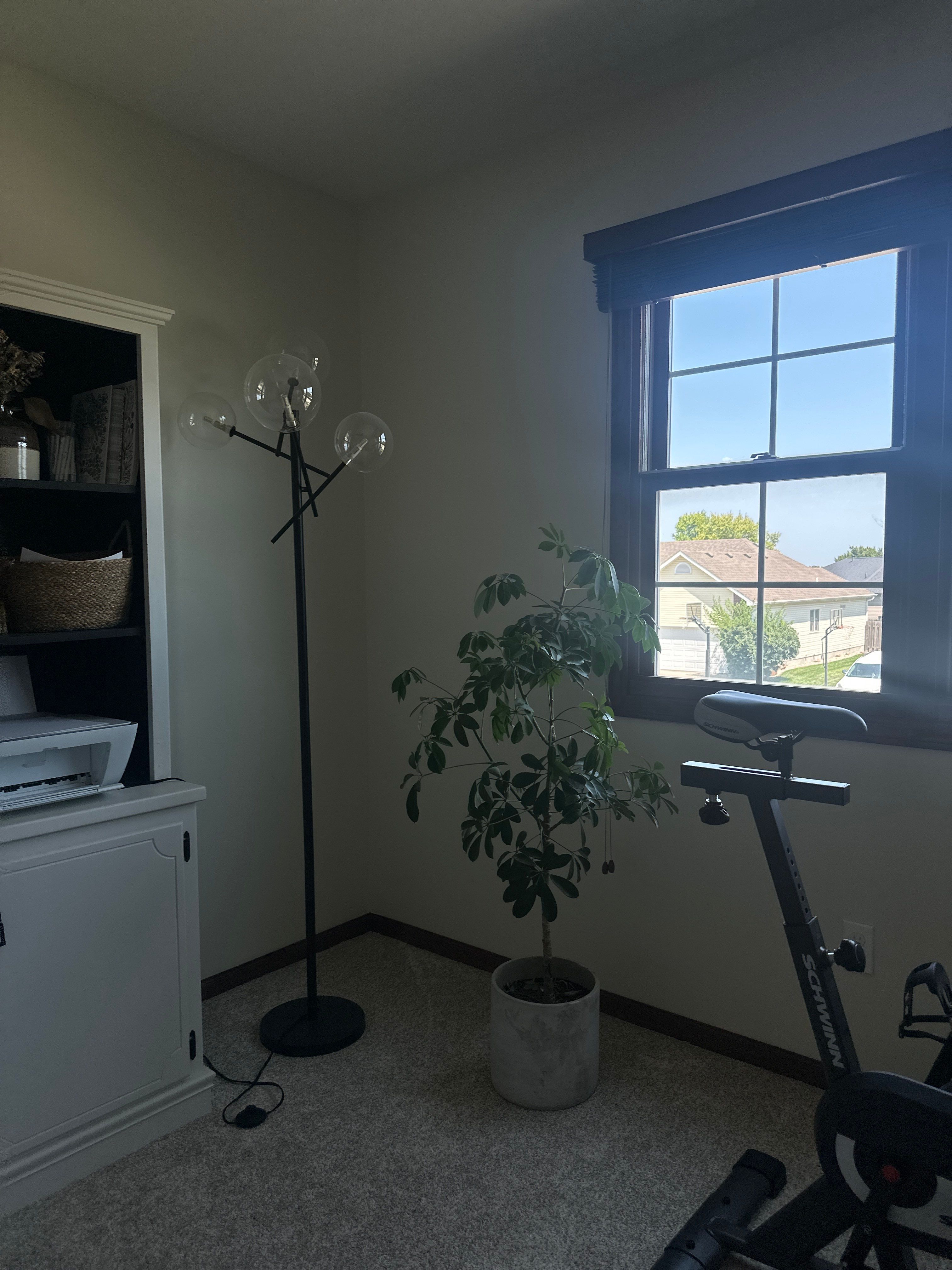 Residential Double-Hung Window Installation and Replacement in Lincoln by CompanyCam Sales Demo