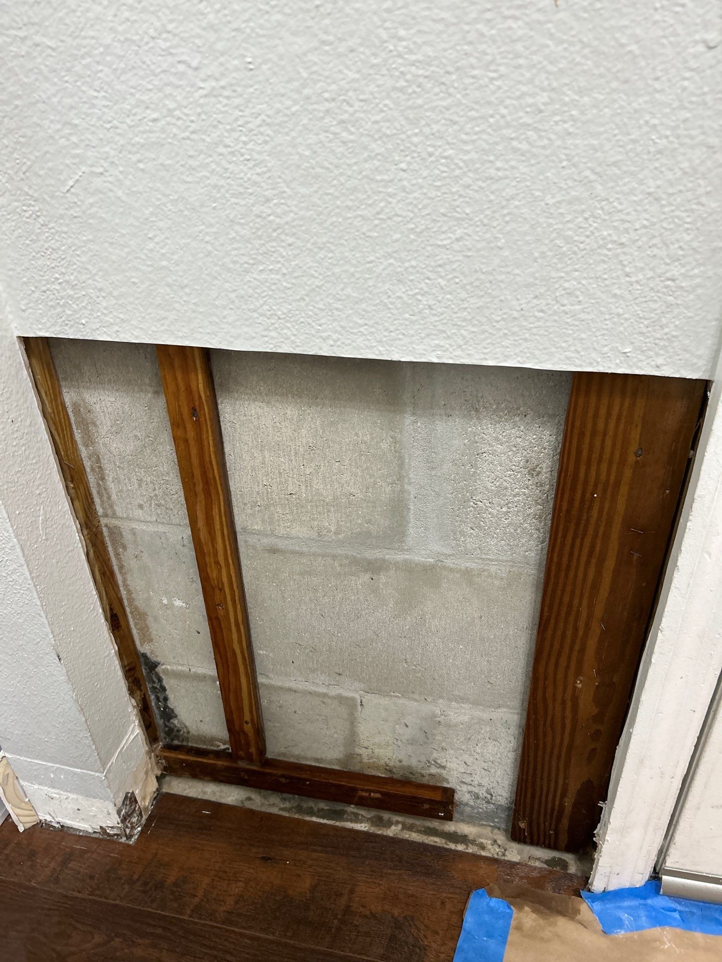 Stansell - water and mold photos  by THE RAPID TEAM