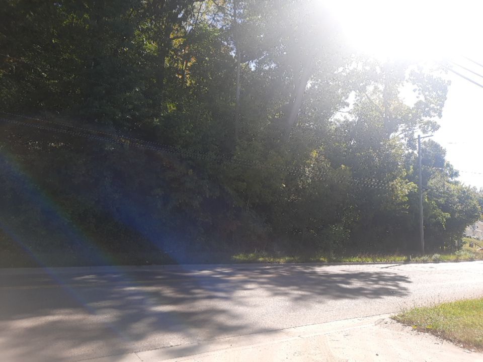 Tree Removal using Tree Removal by Mike Jones & Sons Tree Service LLC 