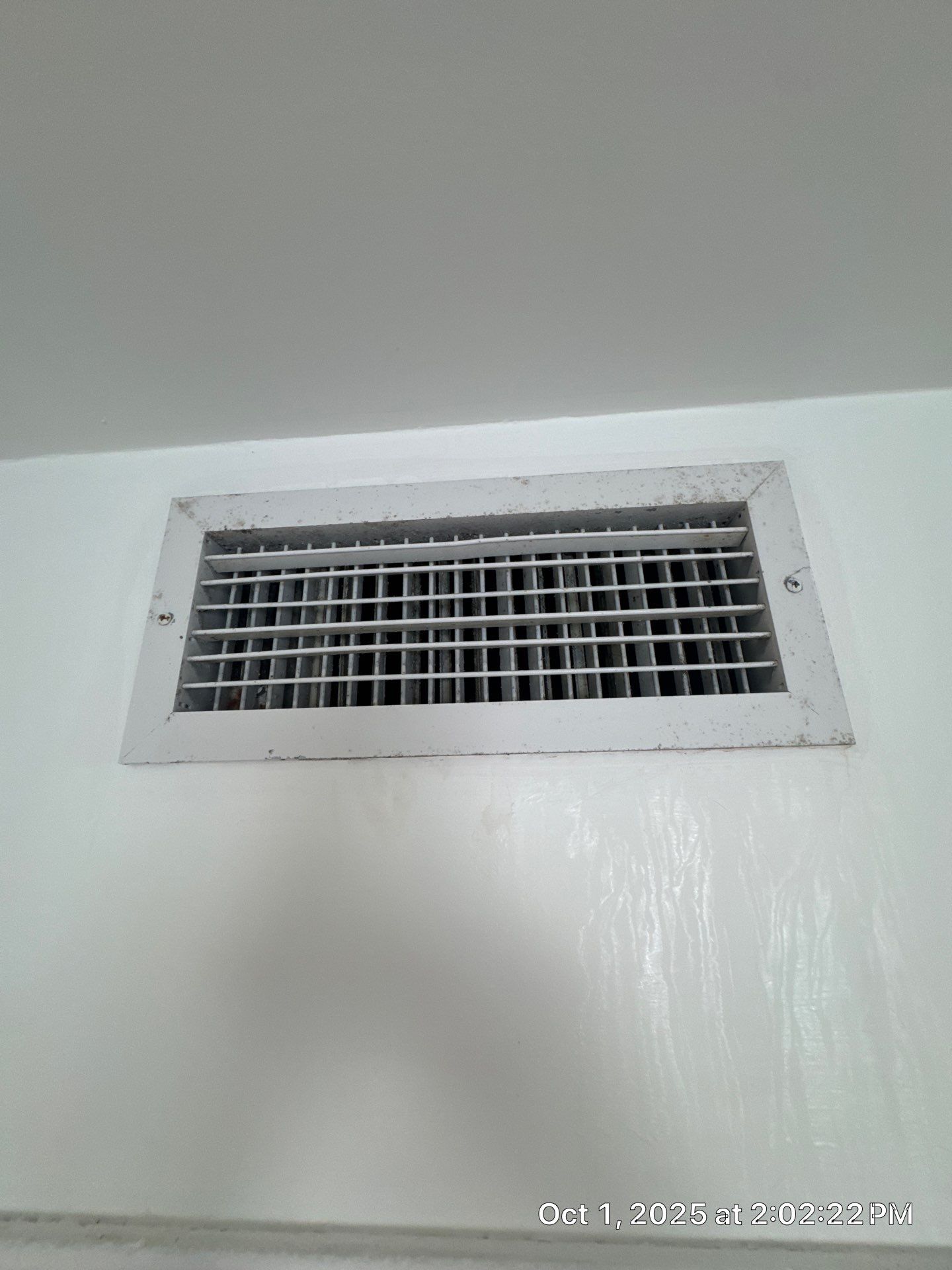mold by SuperClean 