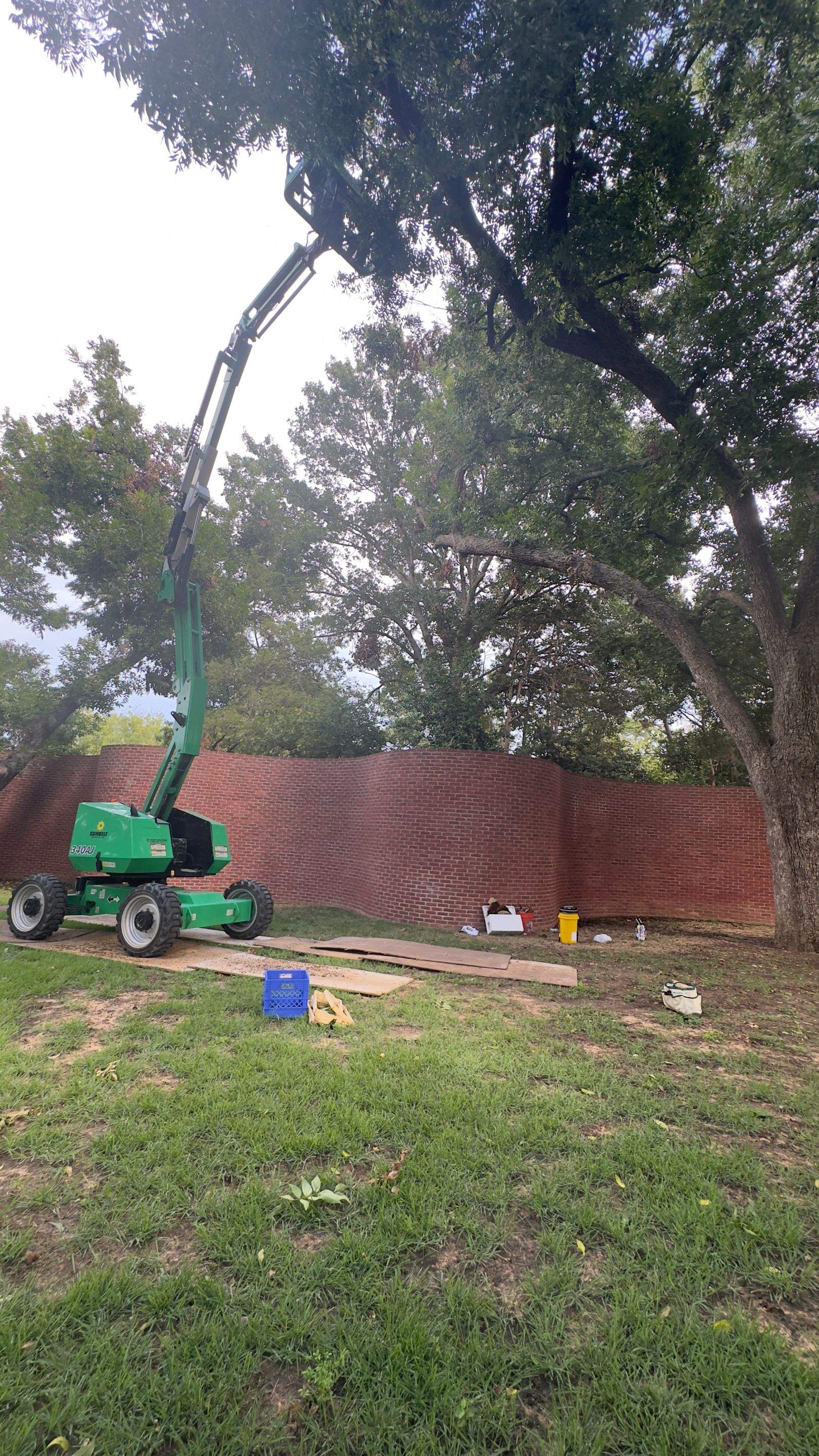 Open-Air Massive Colony by Rockwall Honey Bee Company