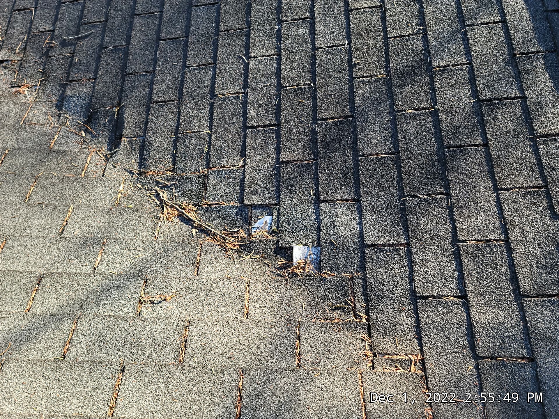 CT LANDMARK 30 LIFETIME METRIC PEWTER , DRIP EDGE BLACK  by Eagle Eye Roofing