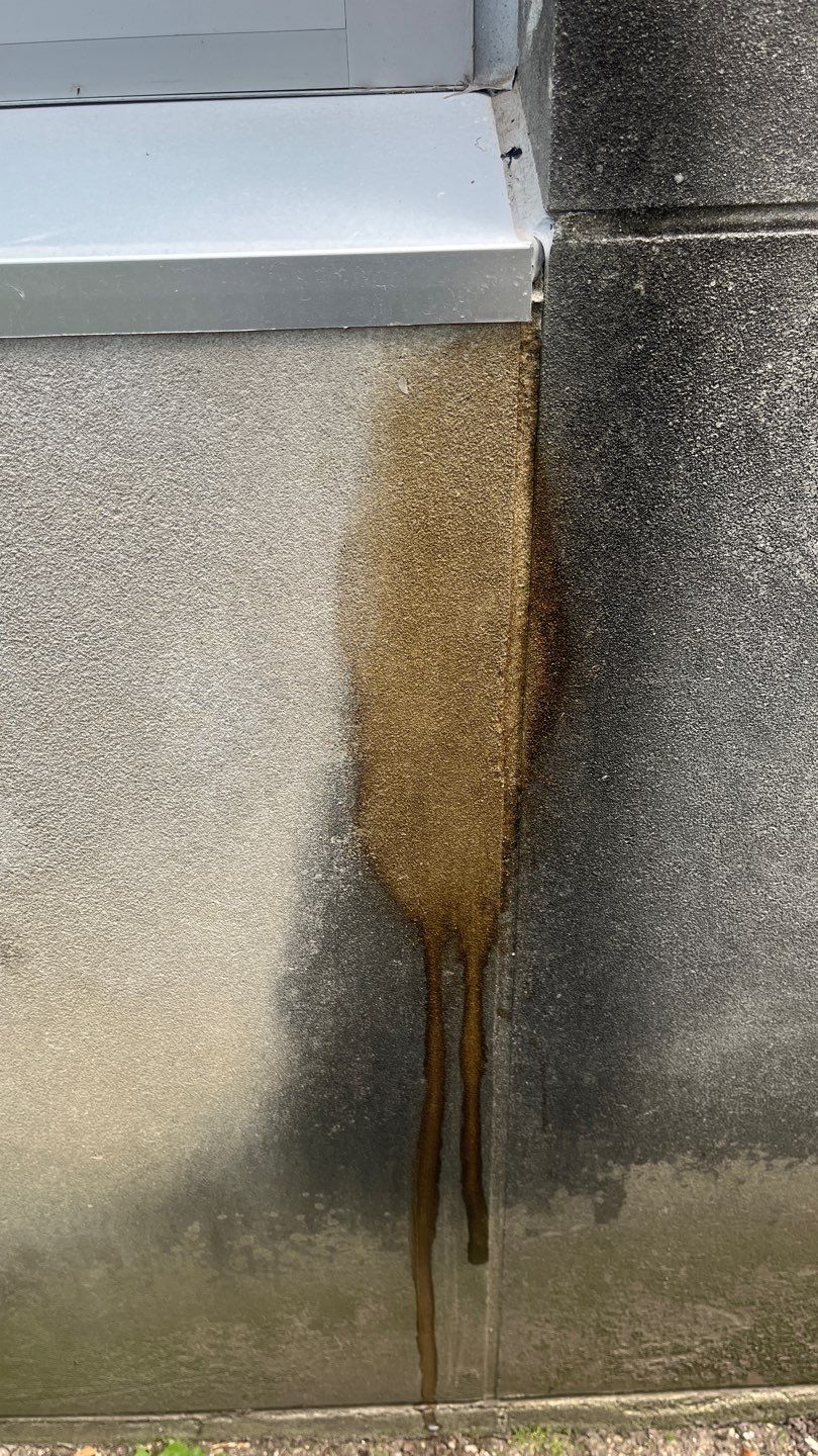 Courtyard pressure washing difficult access.  by Northern Power Washing LLC.